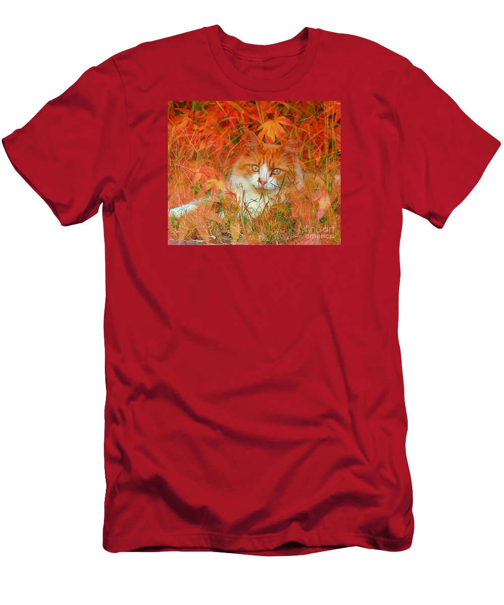 Autumn T-Shirt featuring the photograph Special Kitty by Geraldine DeBoer