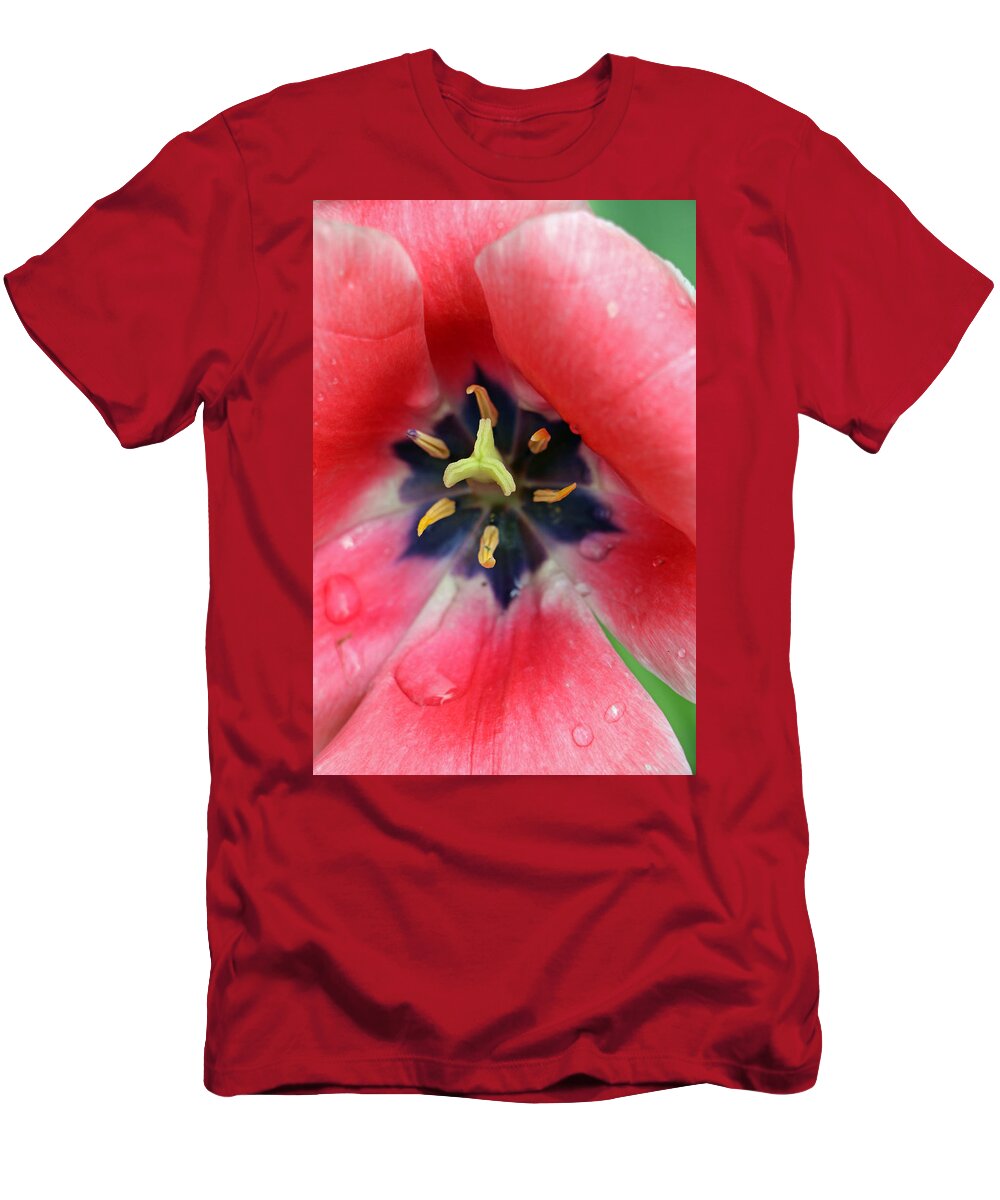 Tulip T-Shirt featuring the photograph Spring Tulips 203 by Pamela Critchlow