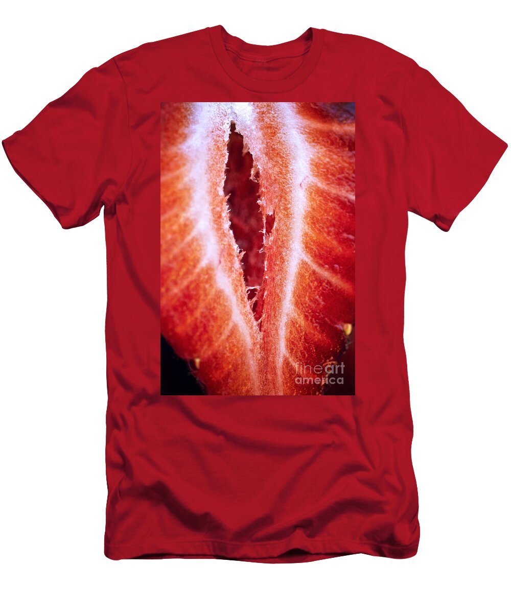Abstract T-Shirt featuring the photograph Strawberry Half by Ray Laskowitz - Printscapes