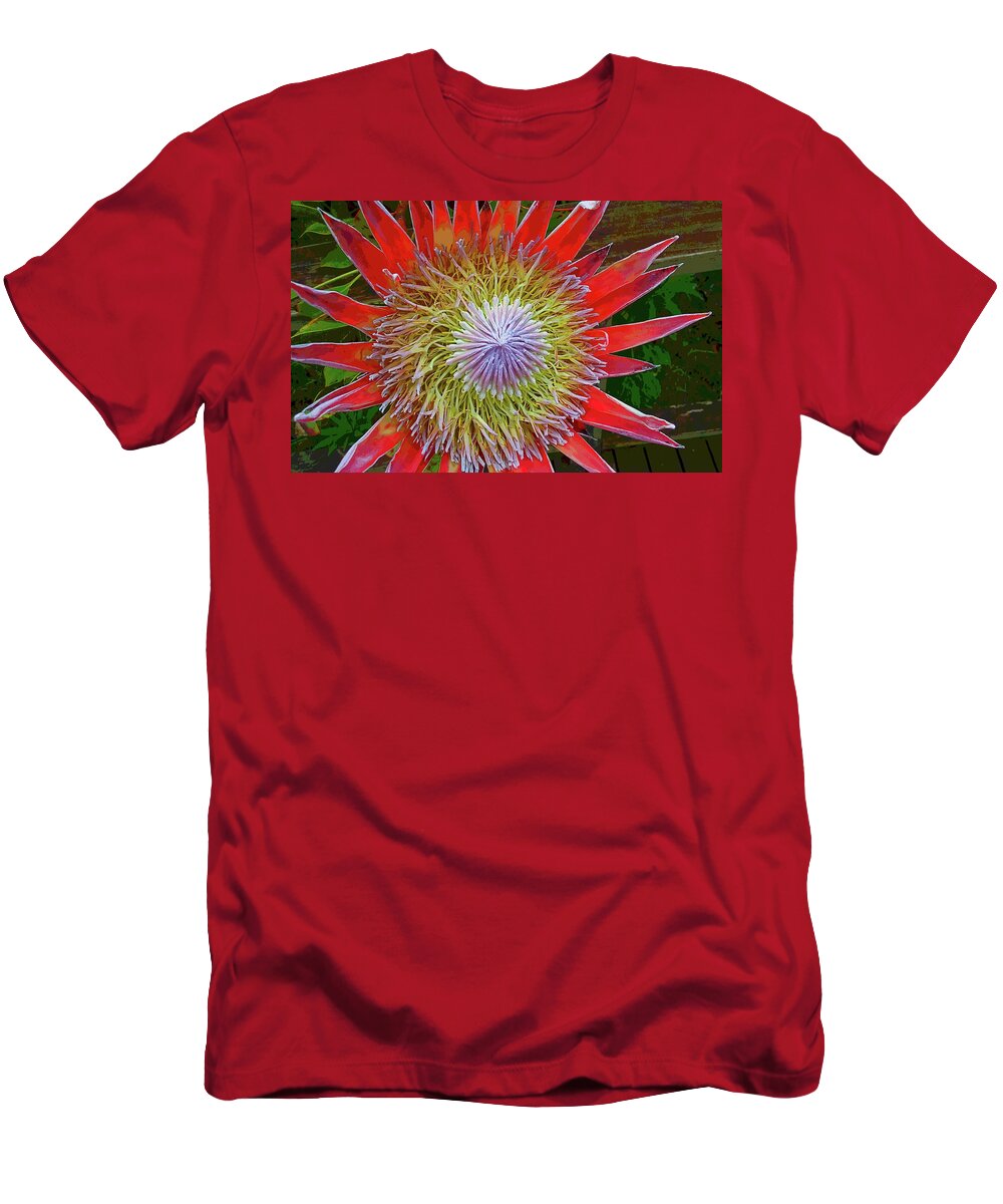 Succulent T-Shirt featuring the photograph Upcountry by Randolph Thompson