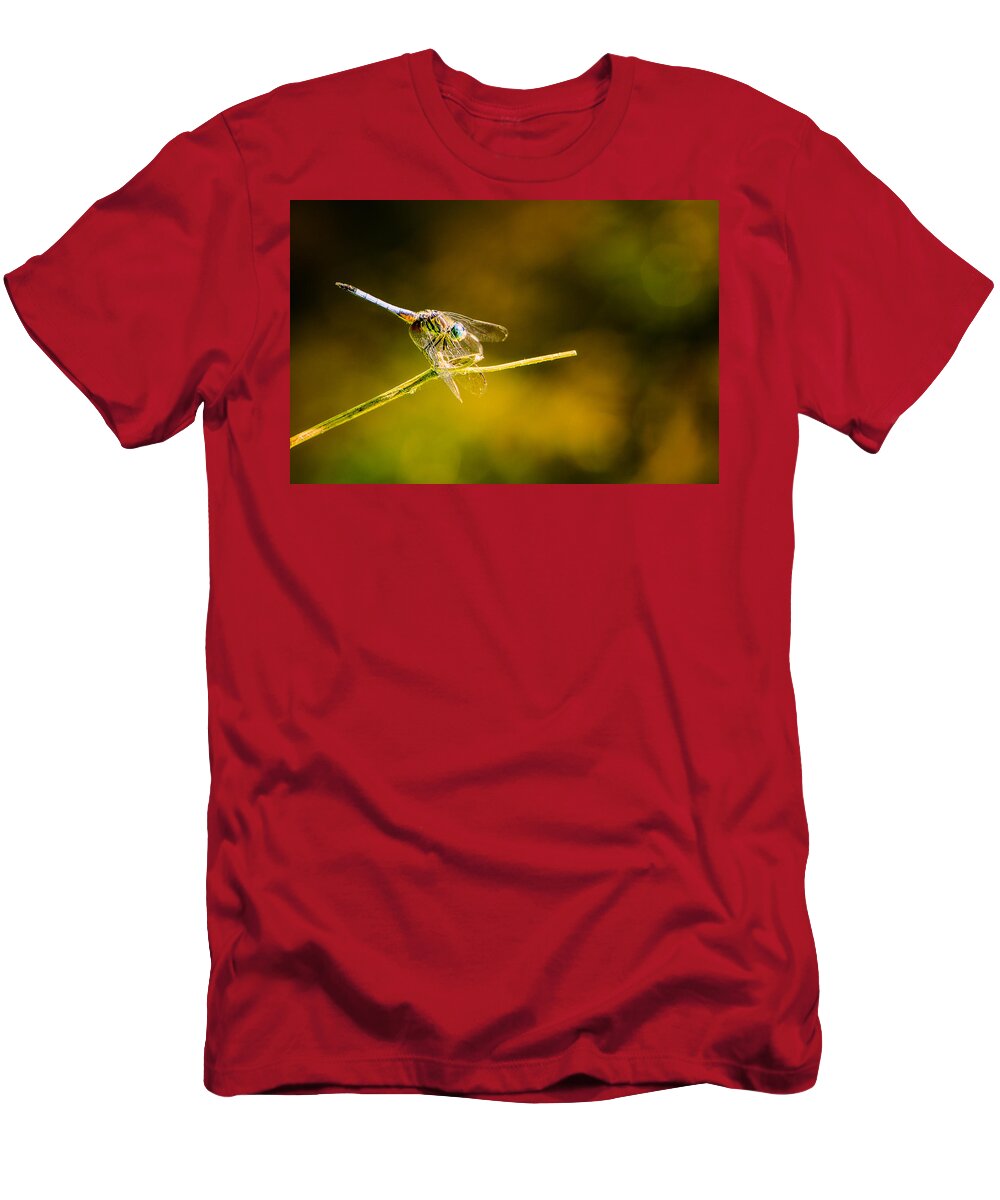 Dragonfly T-Shirt featuring the photograph Summer Days by Craig Szymanski