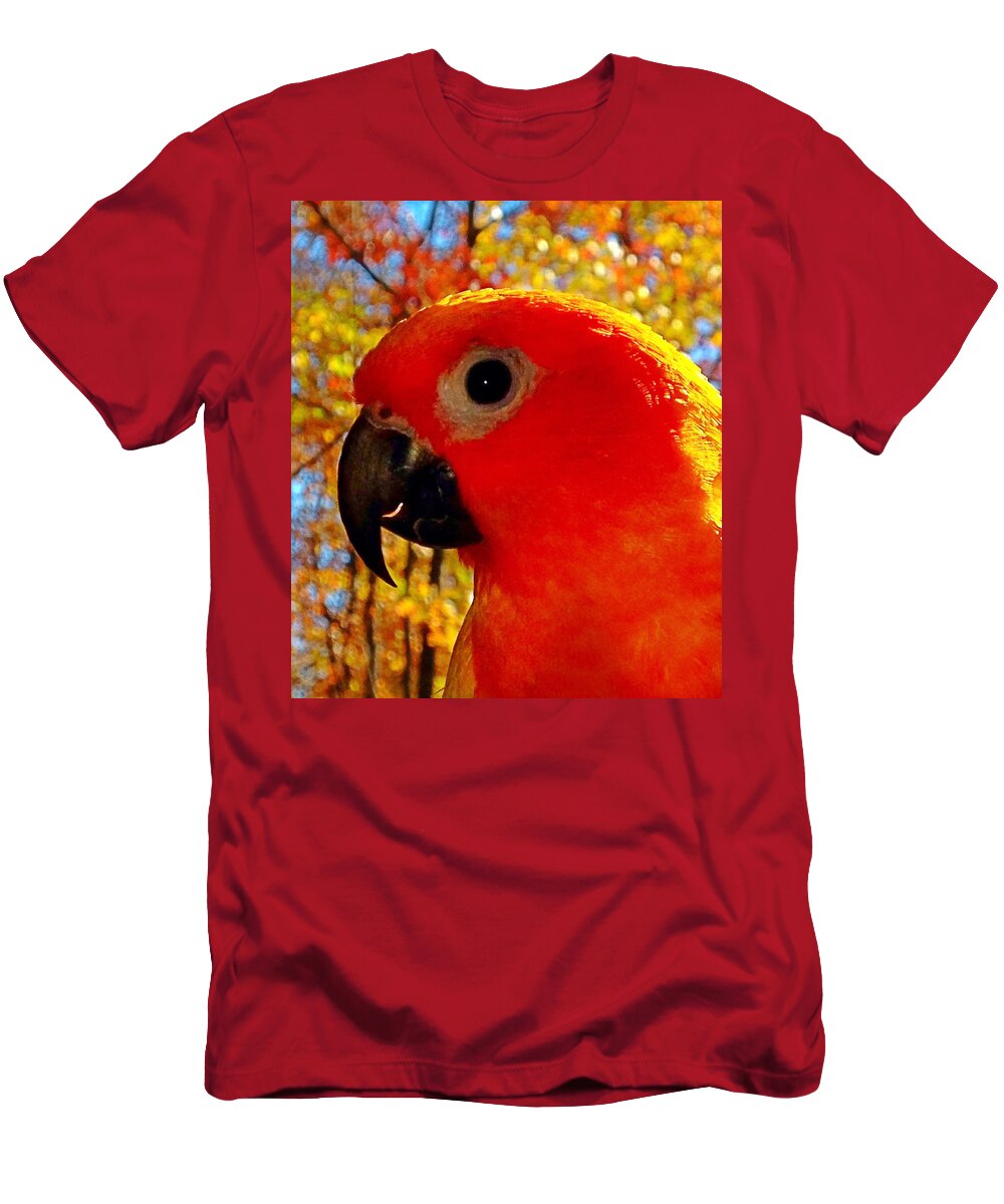 “sun Conure “ T-Shirt featuring the photograph Sun Conure by Gini Moore