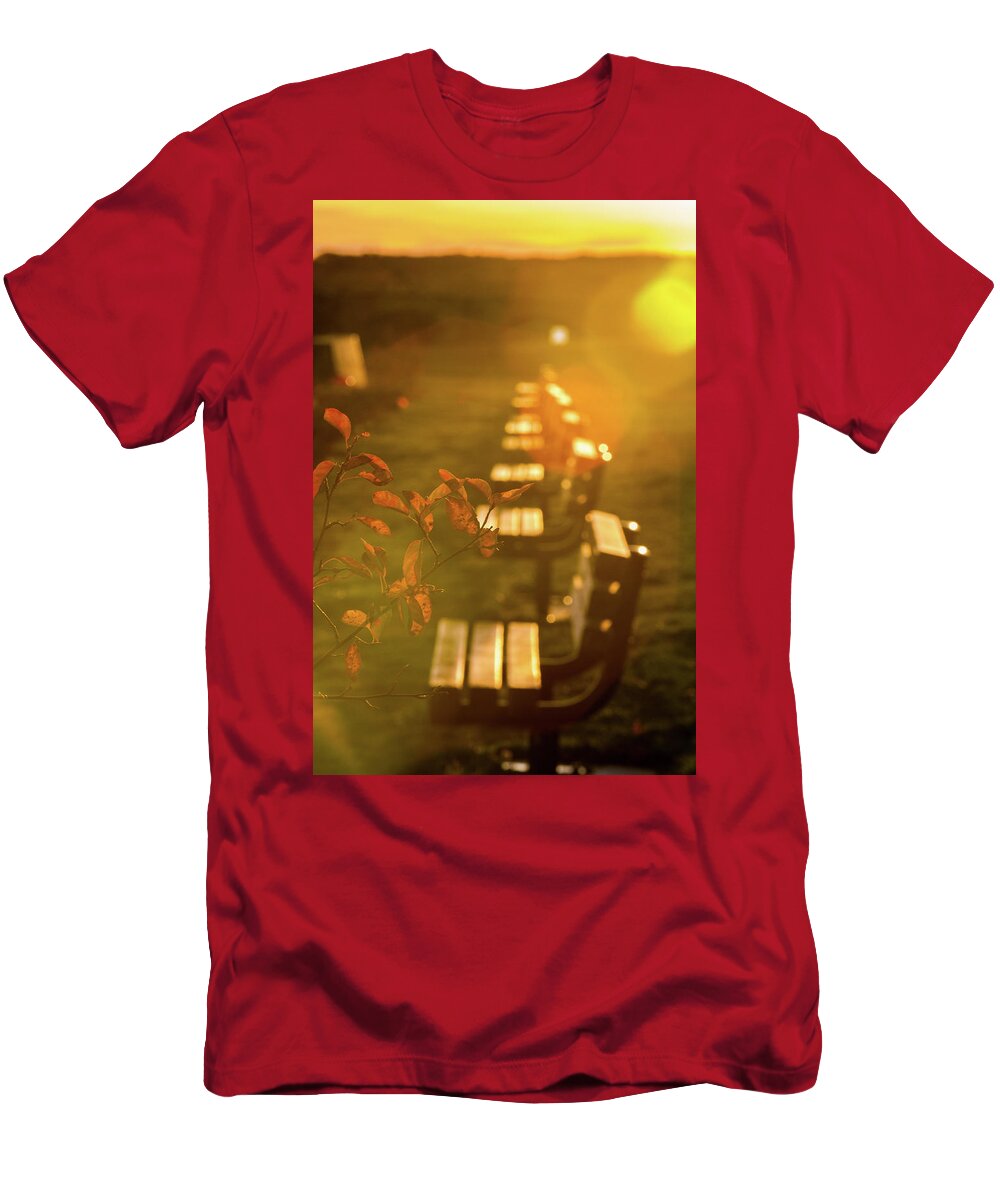 Bench T-Shirt featuring the photograph Sun Drenched Bench by Darryl Hendricks