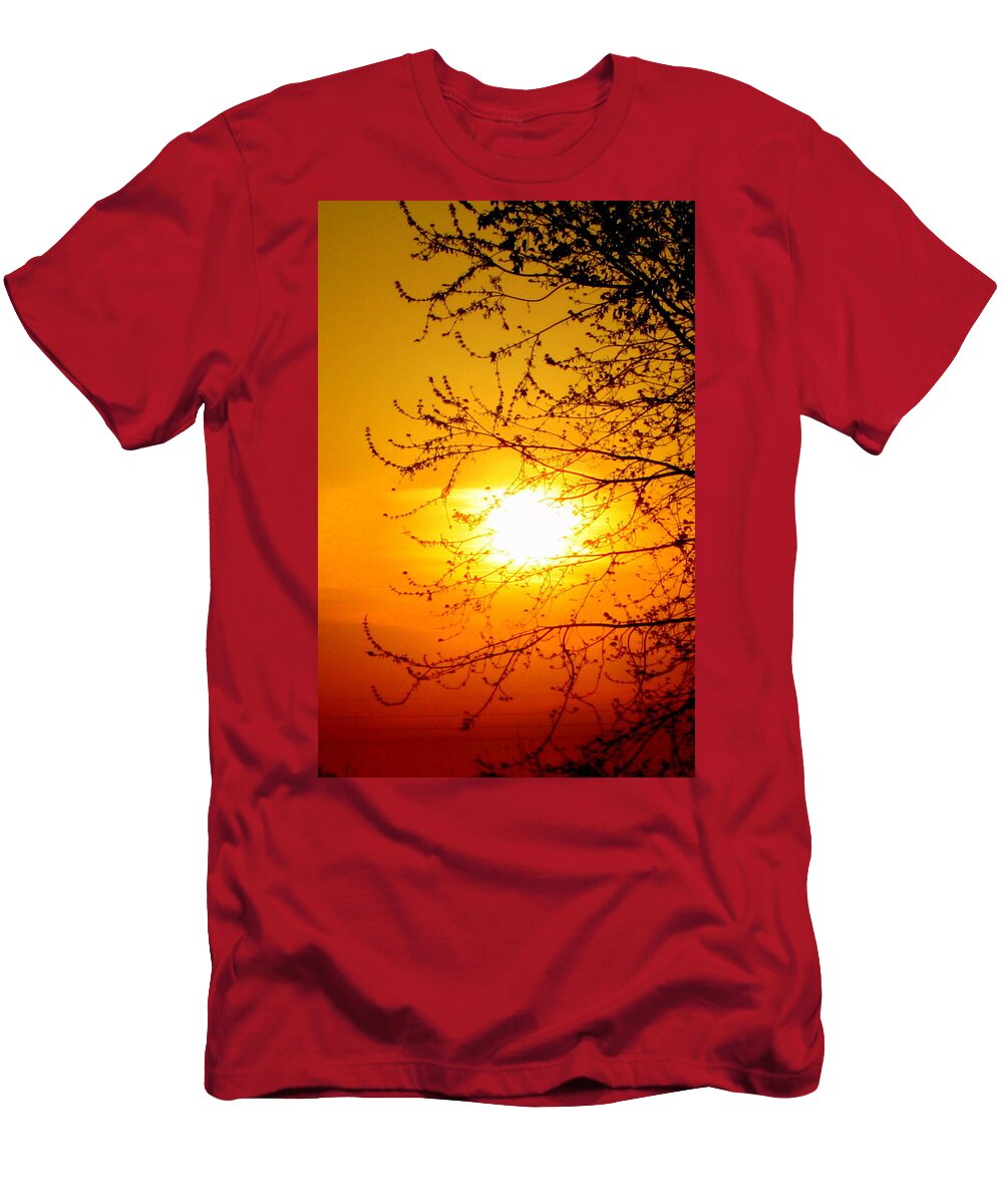 Sun T-Shirt featuring the photograph Sun Sweet by Julie Lueders 