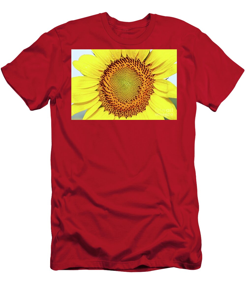 Sunflower T-Shirt featuring the photograph Sundrenched Bliss by Phil Cappiali Jr