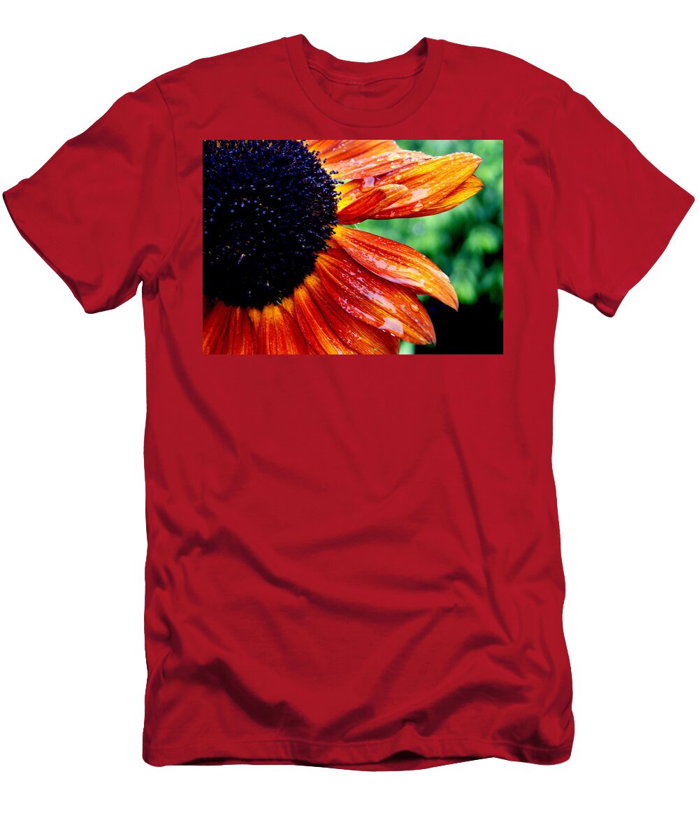 Sunflower T-Shirt featuring the photograph Sunflower and Raindrops by Beth Collins