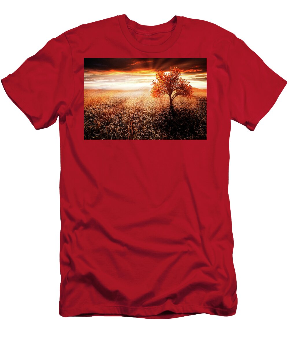 Clouds T-Shirt featuring the photograph Sunrays in Copper by Debra and Dave Vanderlaan