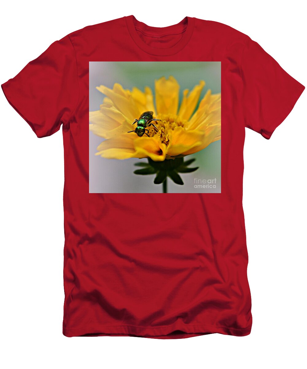 Bee T-Shirt featuring the photograph Sweat Bee by Dani McEvoy