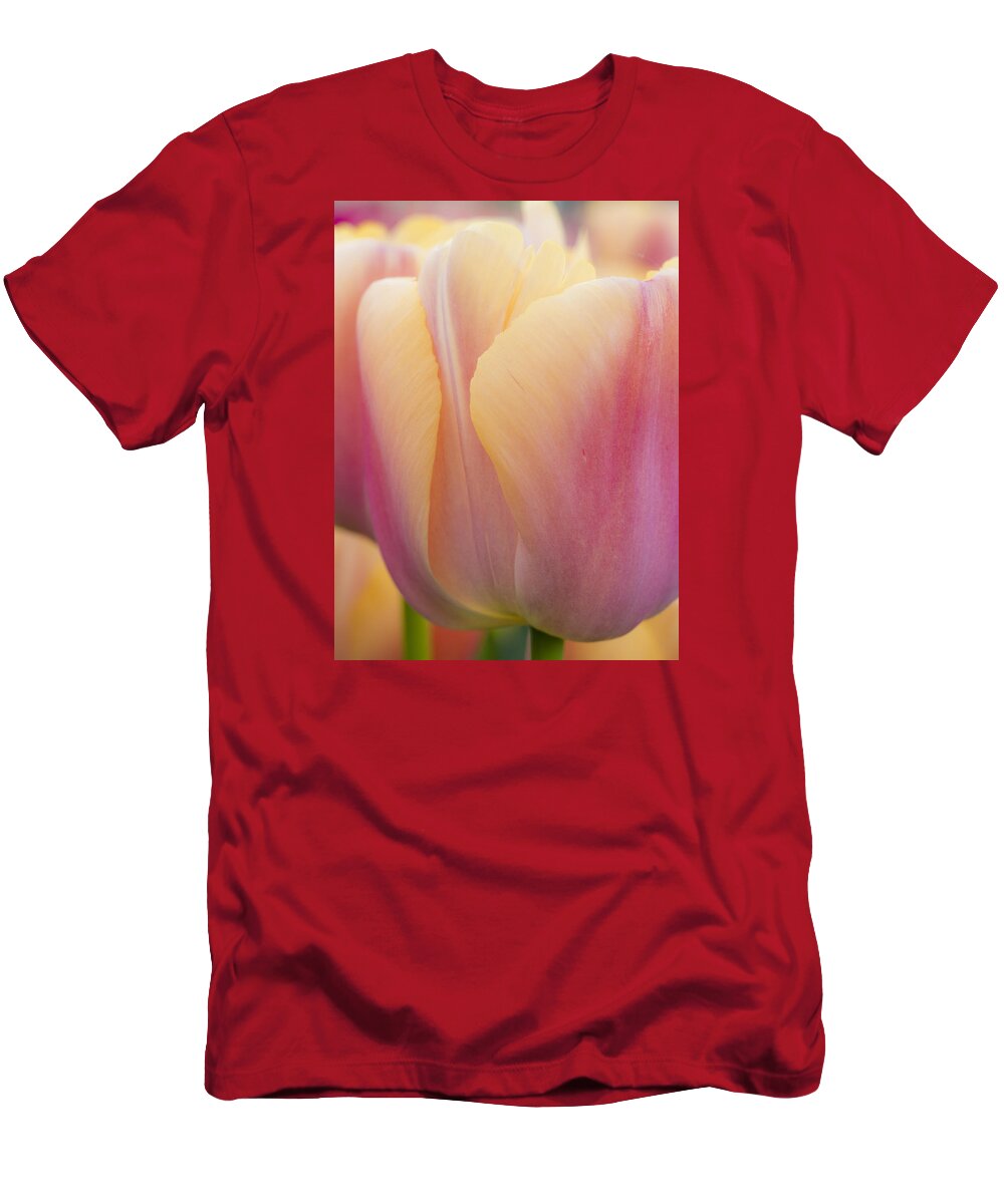 Beauty T-Shirt featuring the photograph Sweet Sherbet by Eggers Photography