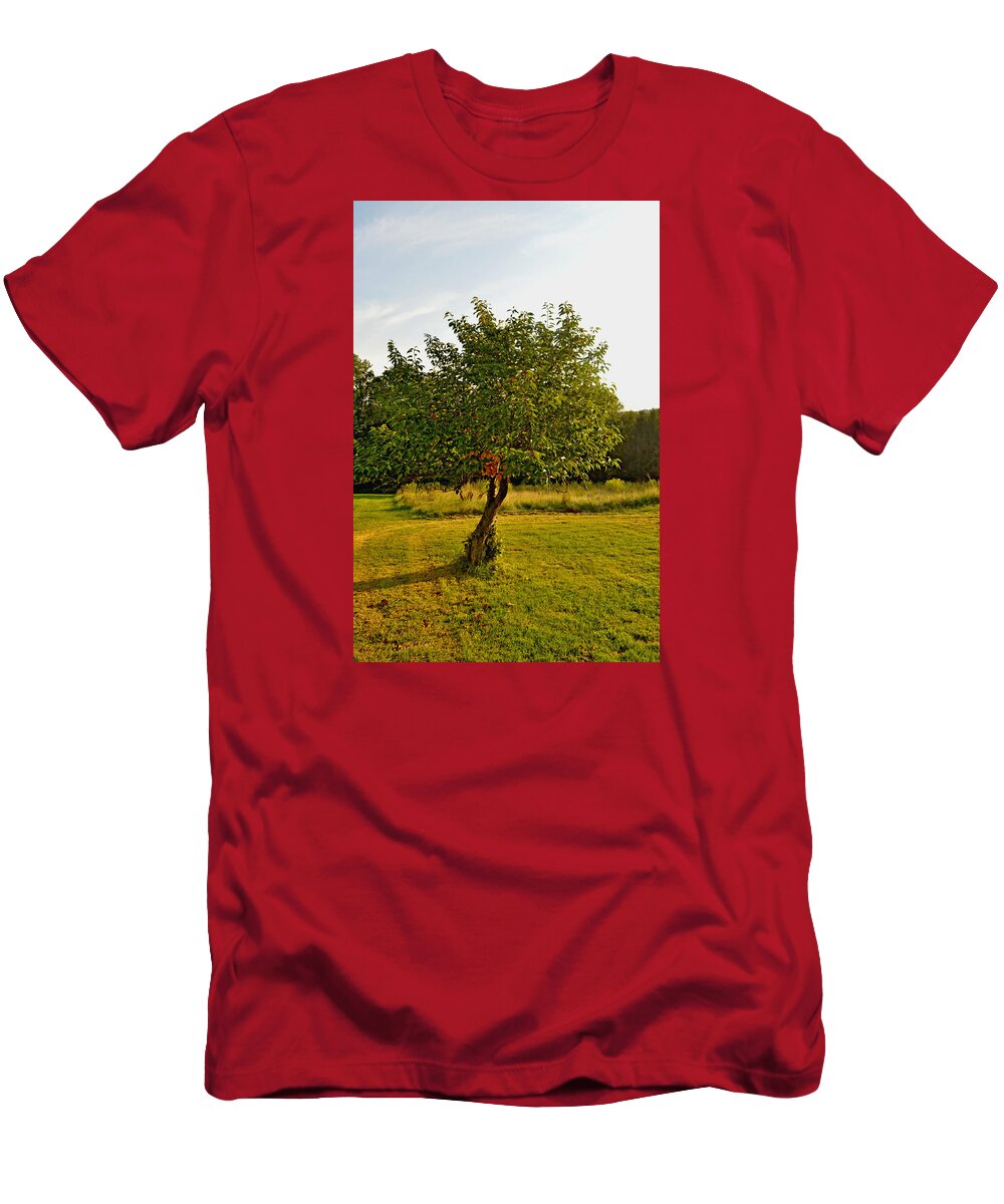 Tree T-Shirt featuring the photograph Taking Root by Donna Petersen