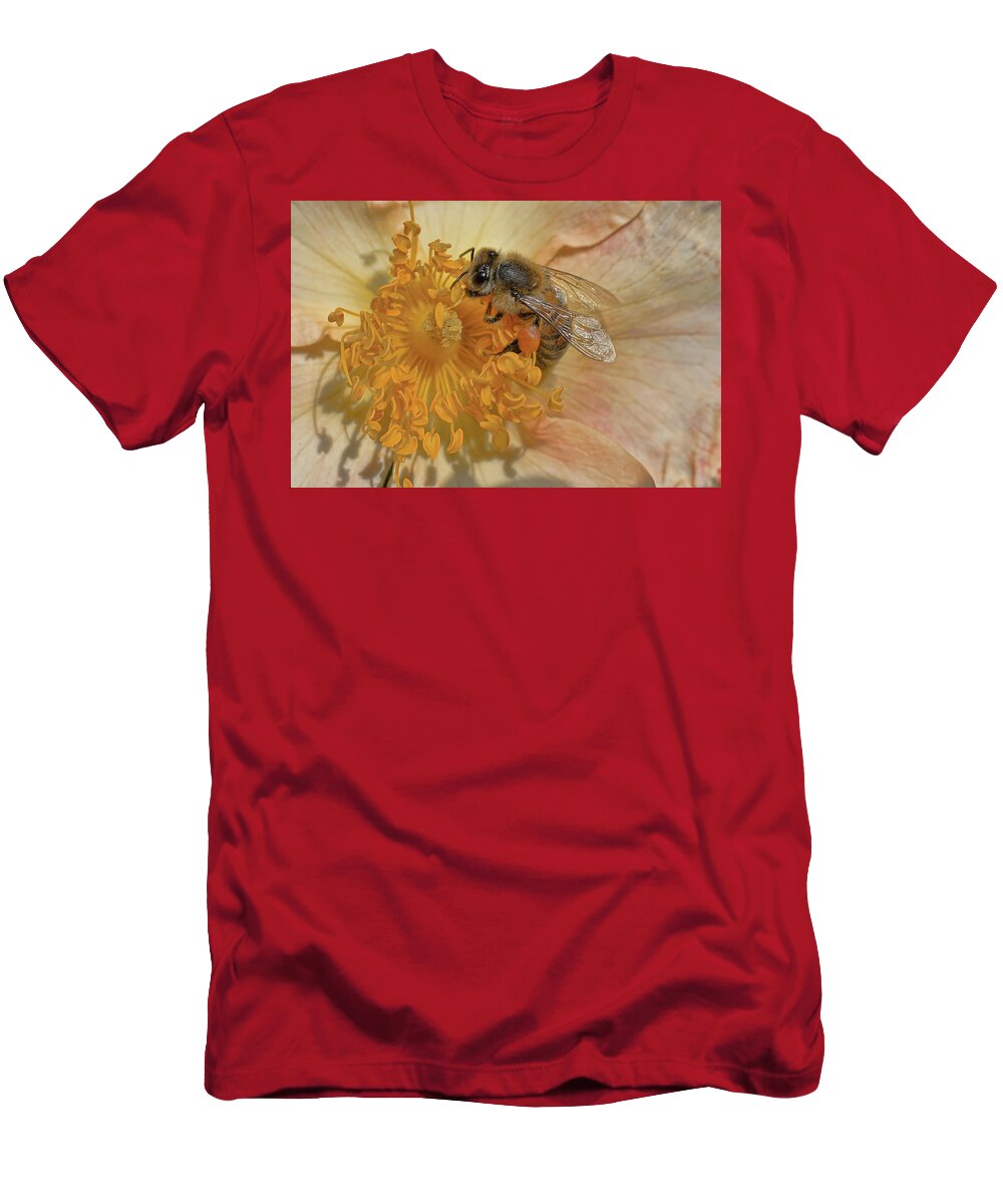 Bee T-Shirt featuring the photograph The Beautiful Bee by Roberto Aloi