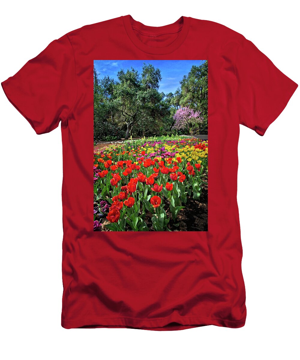 Tulips T-Shirt featuring the photograph The Bright Side of Spring by Lynn Bauer