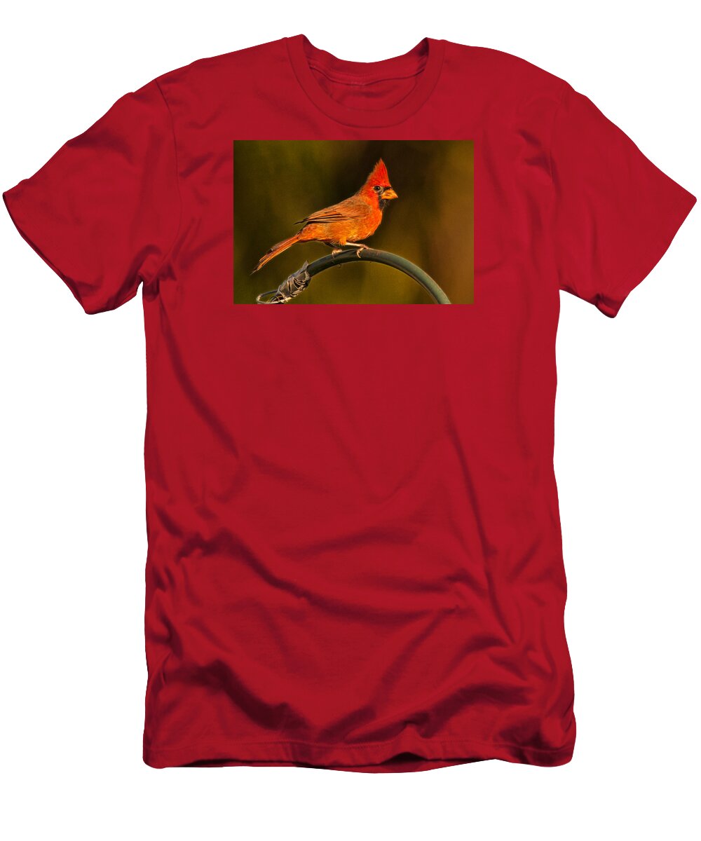 Cardinal T-Shirt featuring the photograph The Cardinal by Don Durfee
