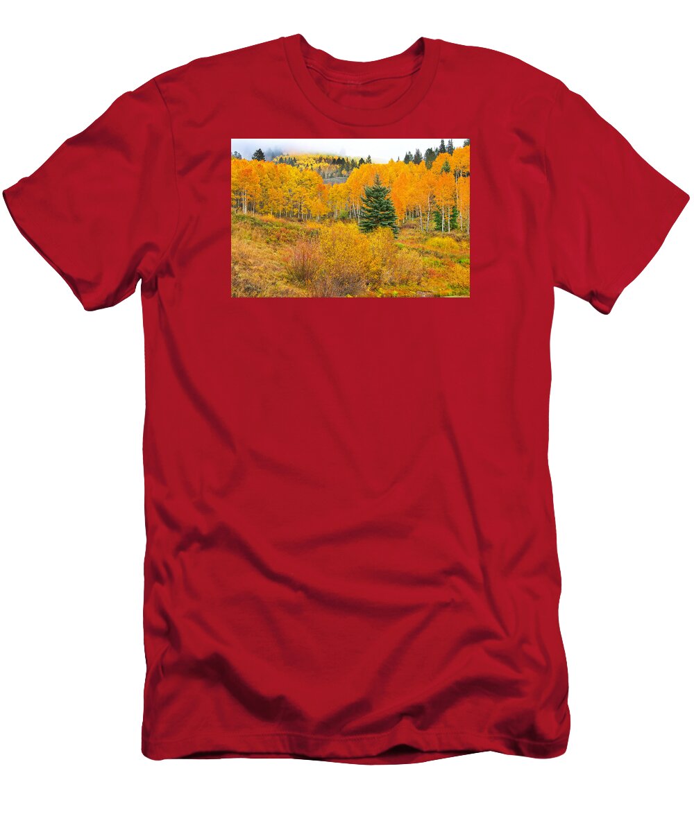 Gunnison National Forest T-Shirt featuring the photograph The One That Stands Out by Bijan Pirnia