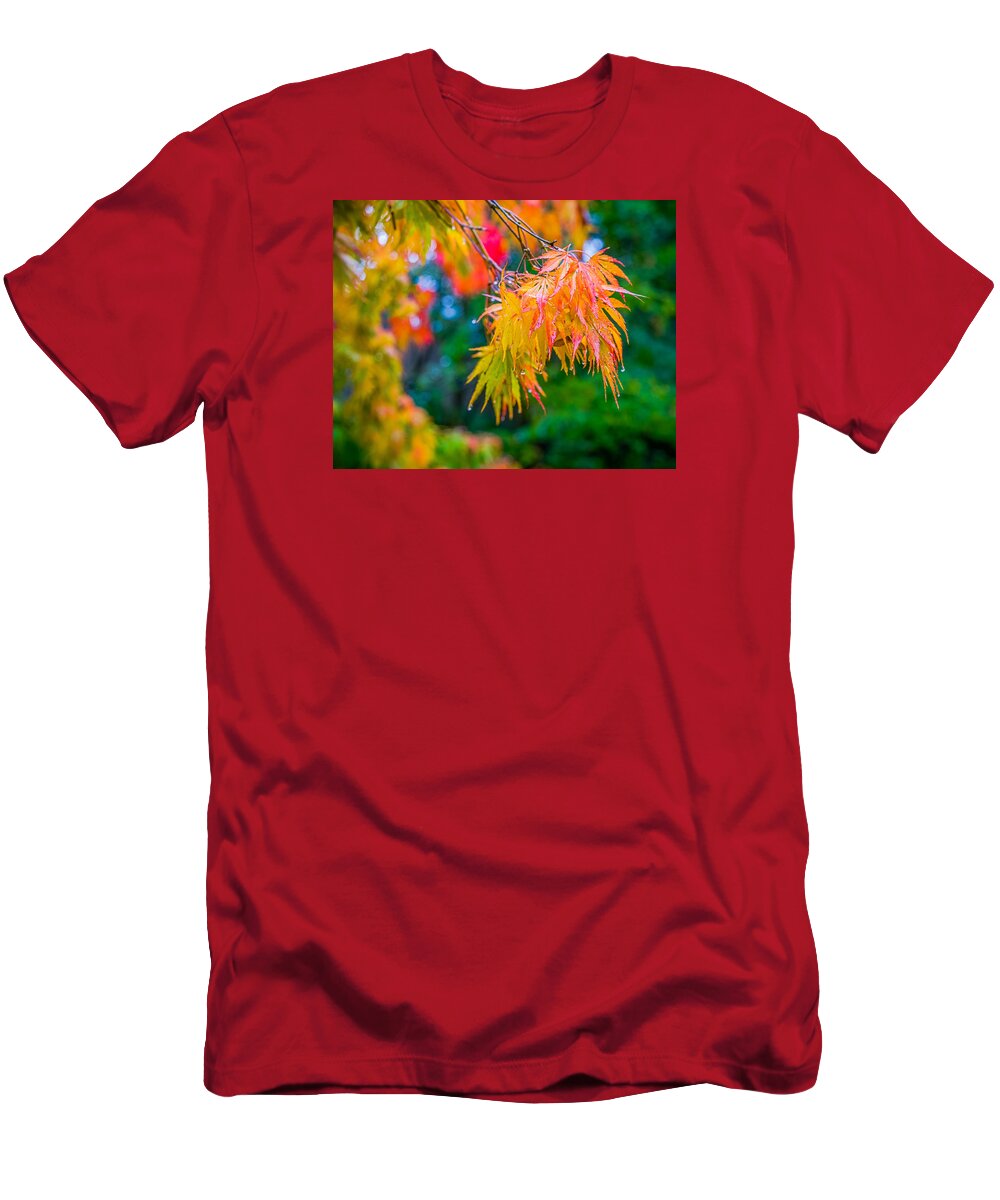Maples T-Shirt featuring the photograph The Rainy Bunch by Ken Stanback