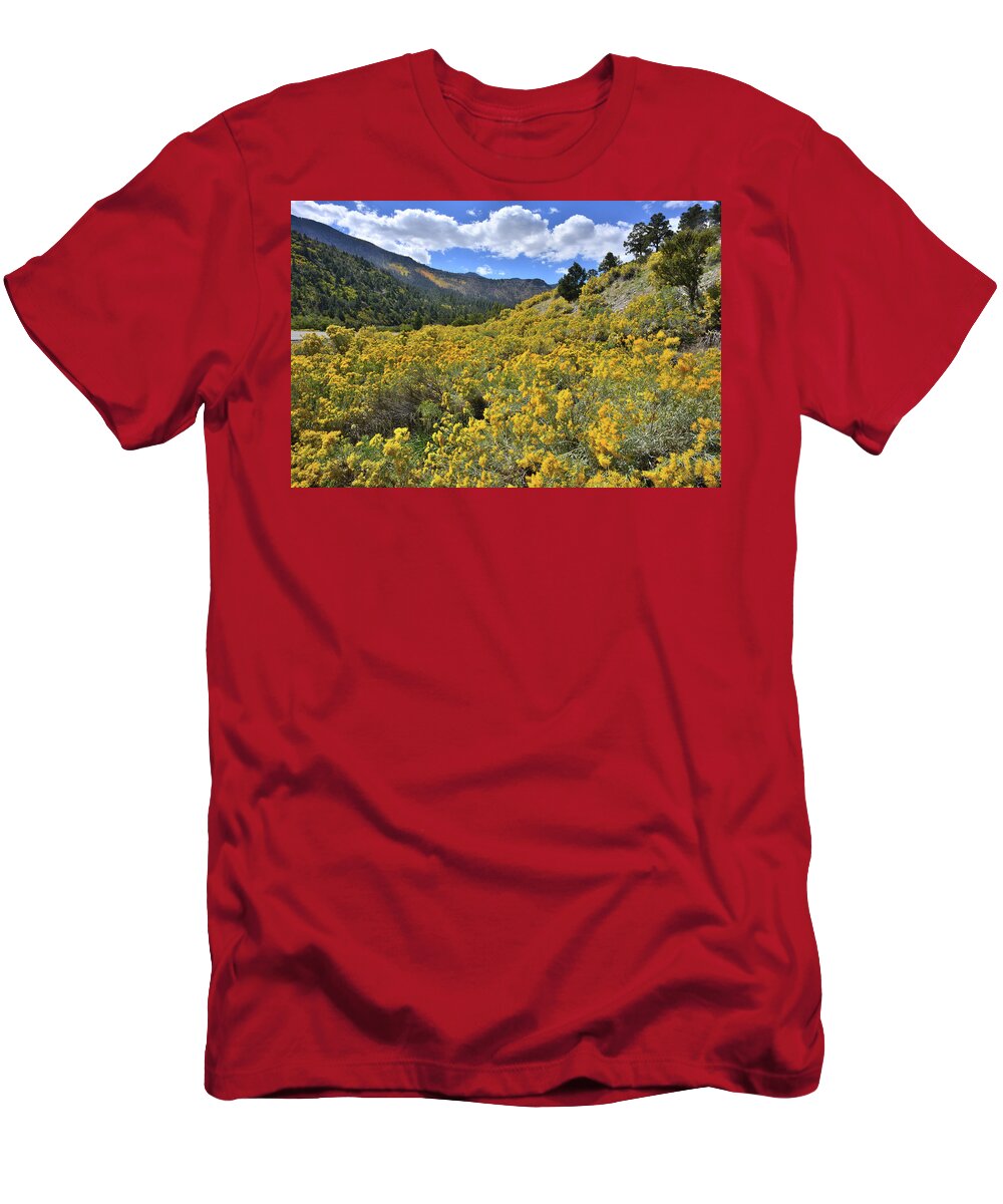 Nevada T-Shirt featuring the photograph The Road to Mt. Charleston by Ray Mathis