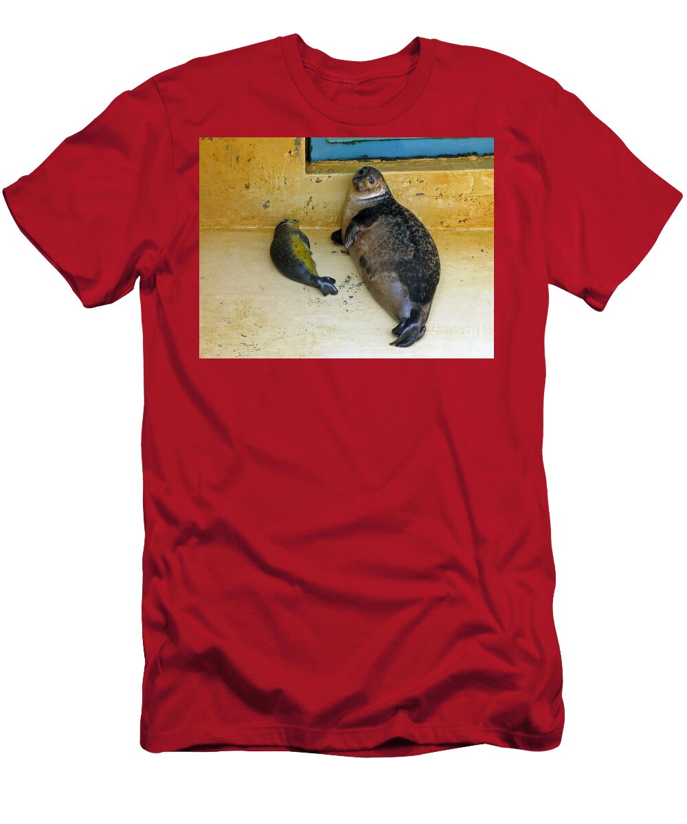 Seals T-Shirt featuring the photograph Tired of Tourists. No Flash Photography Please. by Ausra Huntington nee Paulauskaite