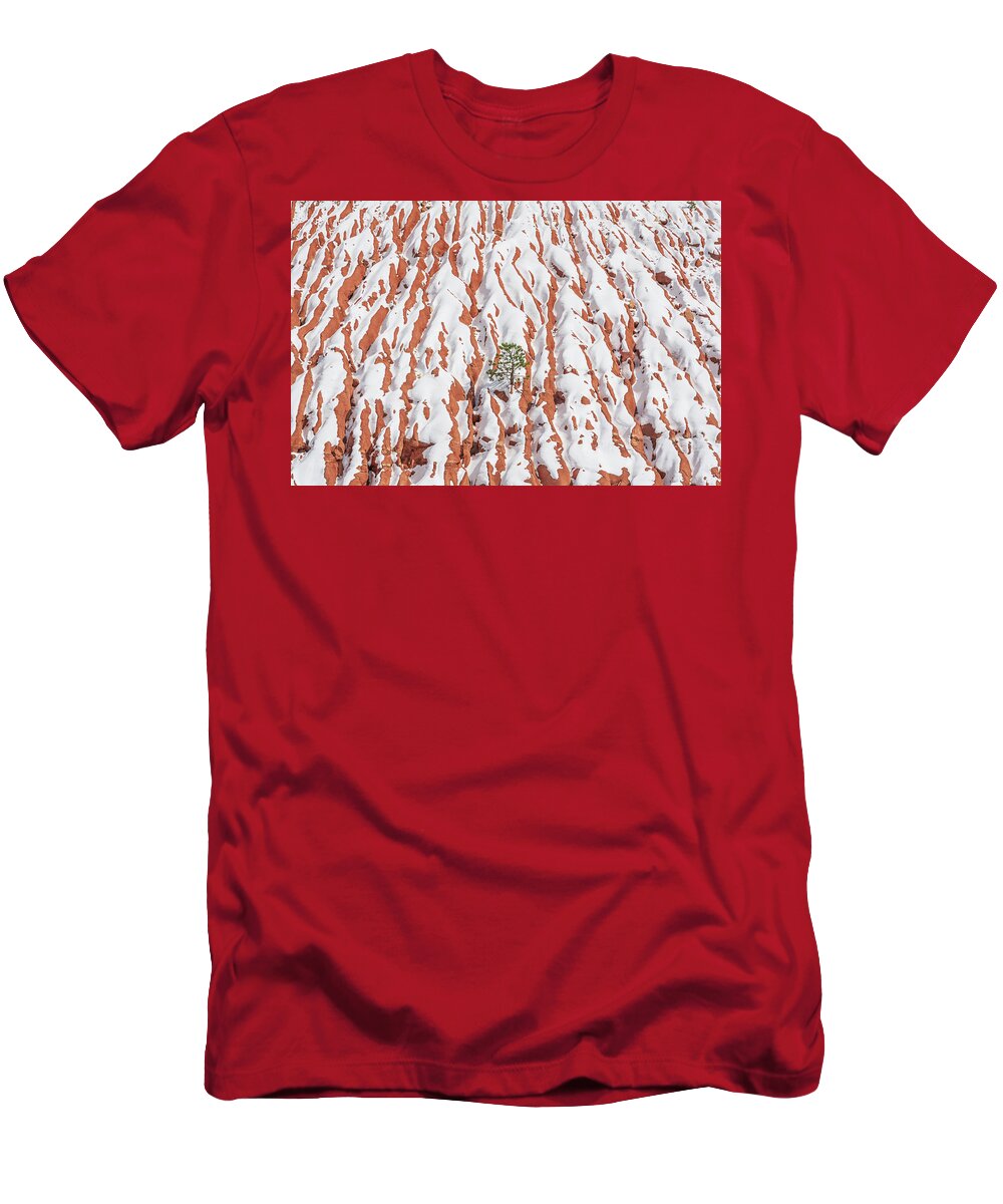 Lone Pine T-Shirt featuring the photograph Tonan, The Aztec Goddess Of Winter Solstice by Bijan Pirnia