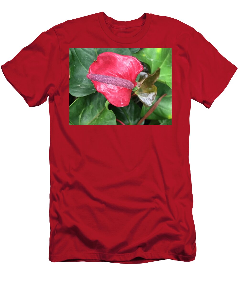 Plants T-Shirt featuring the photograph Touch of Red by Jean Wolfrum