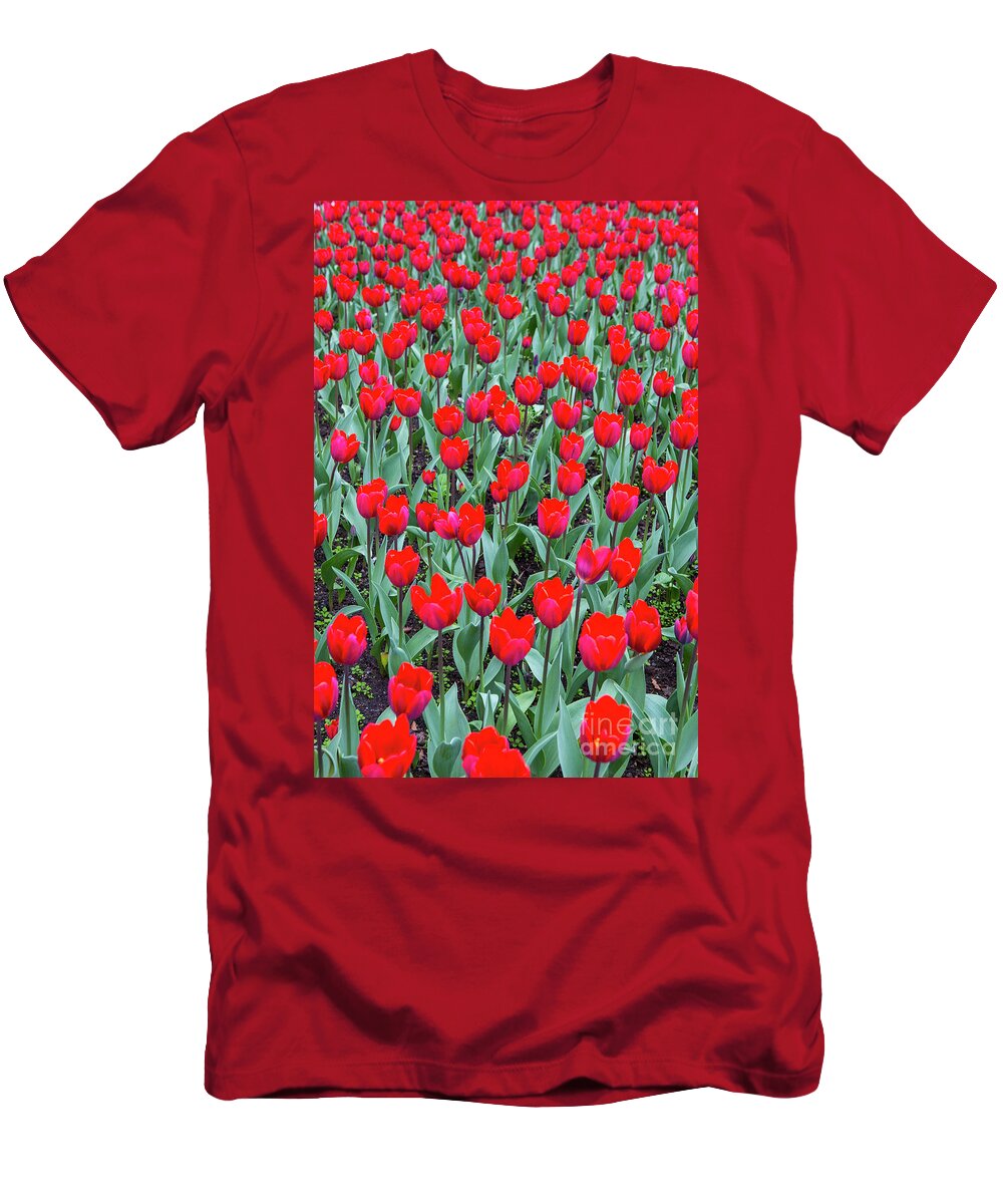 Tulips T-Shirt featuring the photograph Tulips in Kristiansund, Norway by Sheila Smart Fine Art Photography