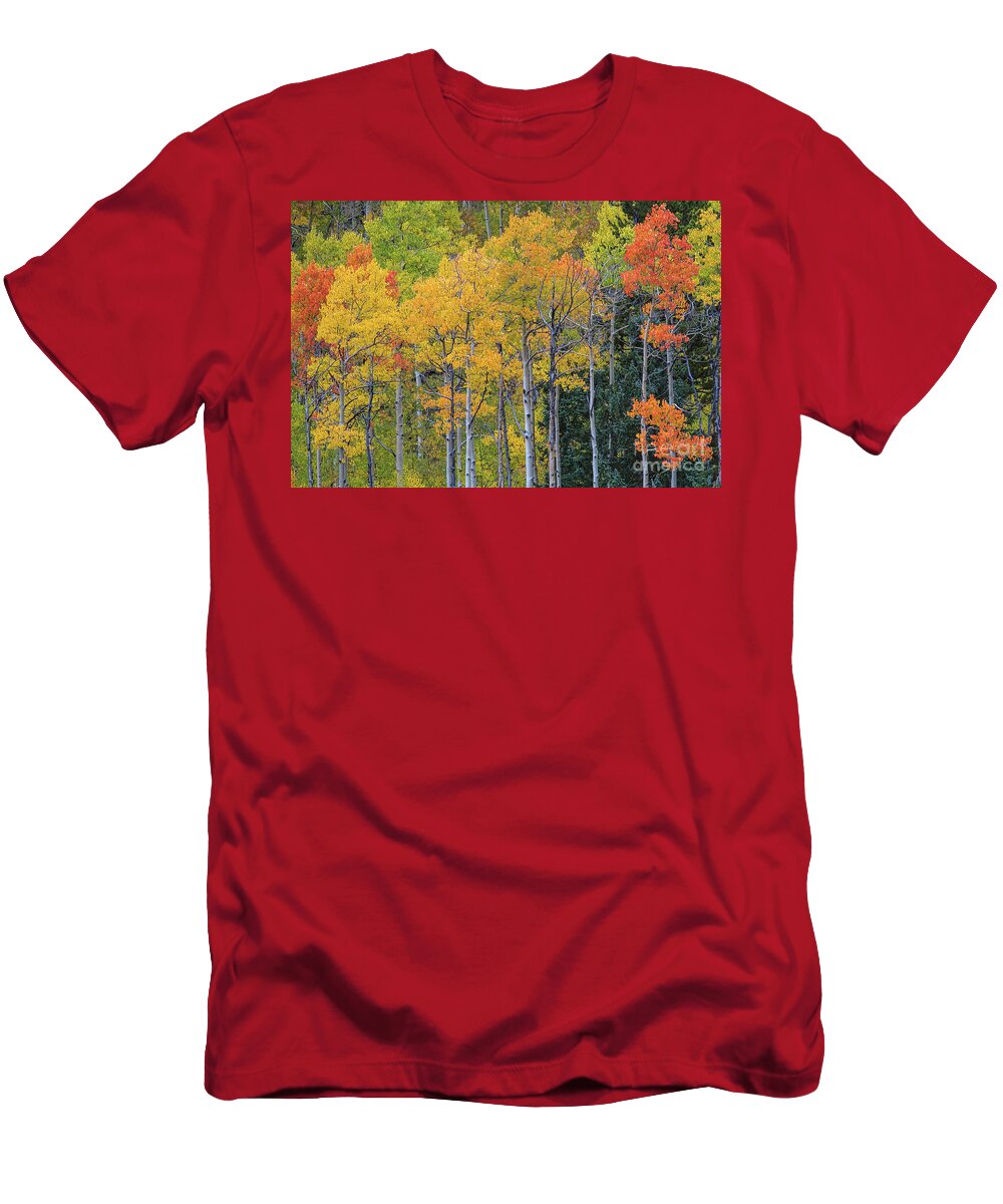 Aspen Landscape T-Shirt featuring the photograph Twilight Time by Jim Garrison