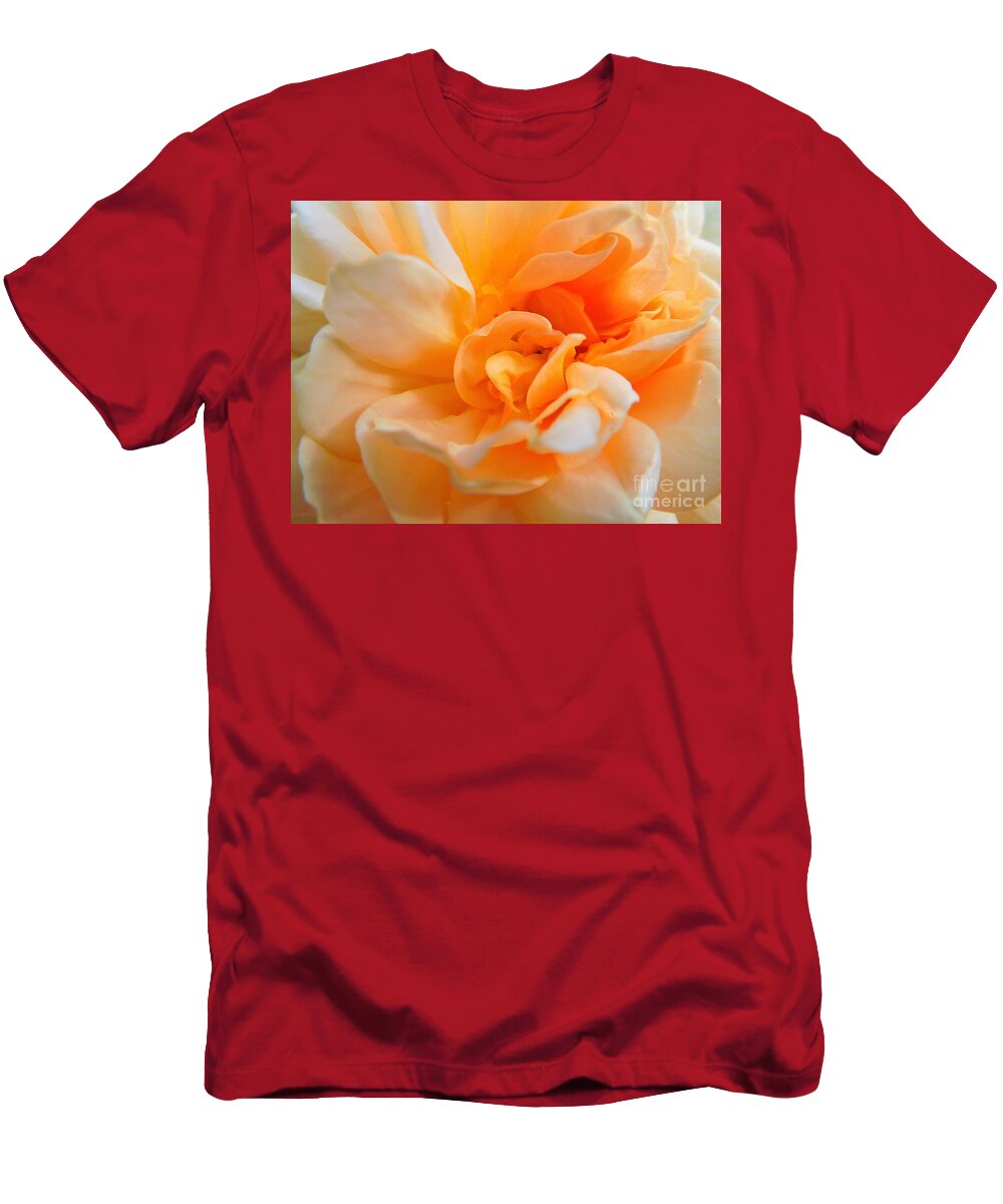 Rose T-Shirt featuring the photograph Twisted Dreamsicle by Chad and Stacey Hall