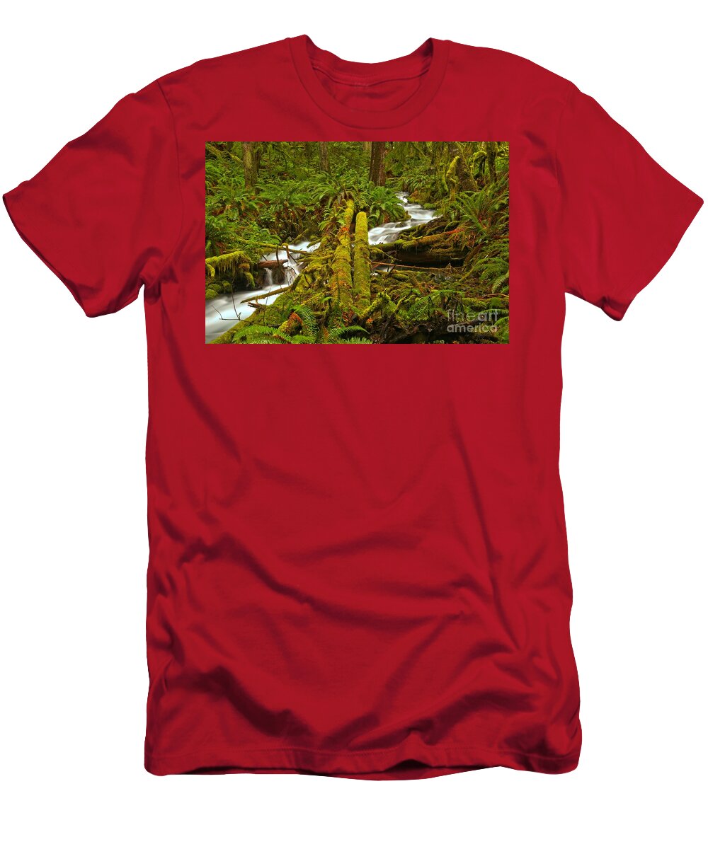 Tranquility T-Shirt featuring the photograph Under The Logs And Through The Woods by Adam Jewell