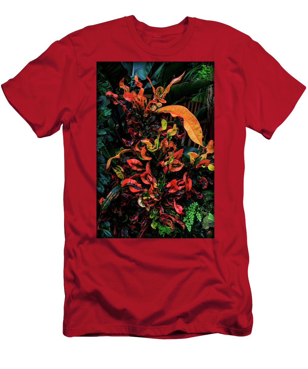 Bonnie Follett T-Shirt featuring the photograph Variegated Croton Burst of Color by Bonnie Follett