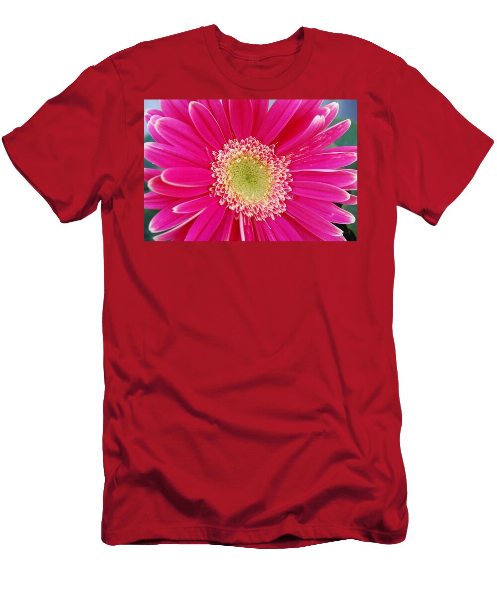 Flower T-Shirt featuring the photograph Vibrant Pink Gerber Daisy by Amy Fose