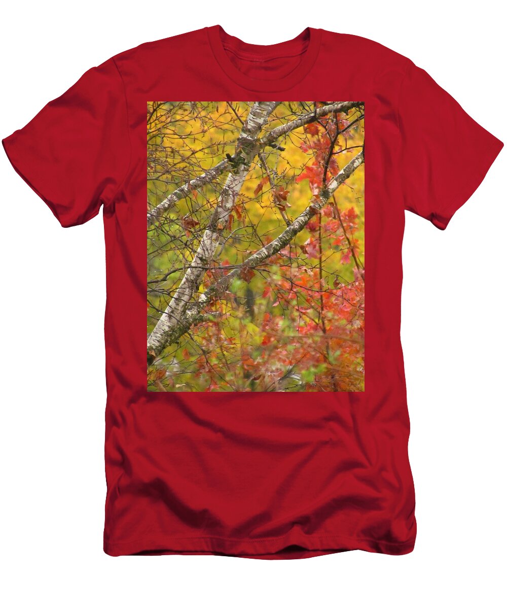 Trees T-Shirt featuring the photograph View From My Window by Lori Frisch