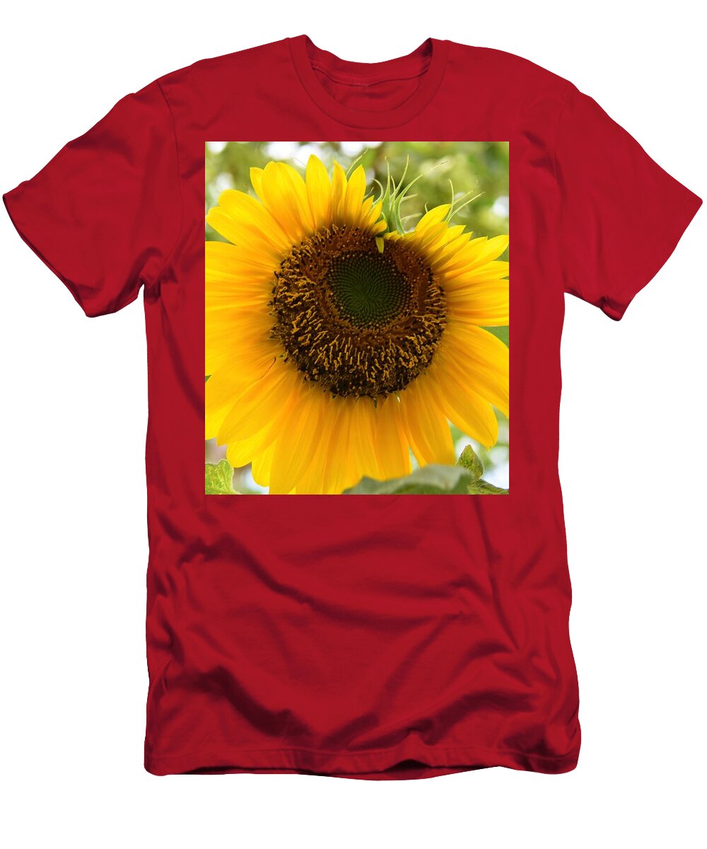 Sunflowers Growing T-Shirt featuring the photograph Watching You by Angela J Wright