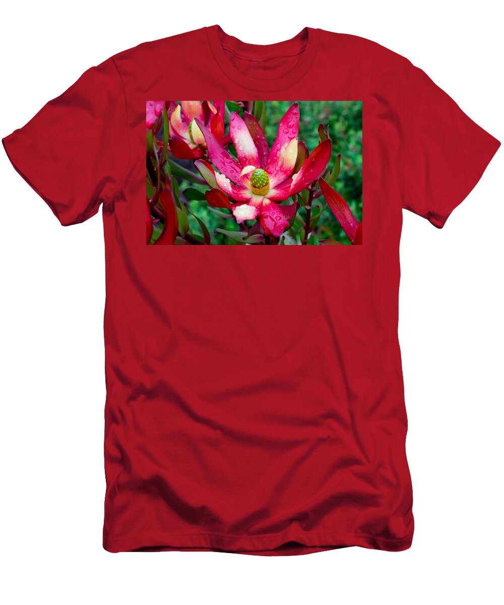 Flower T-Shirt featuring the photograph Wet One by Derek Dean