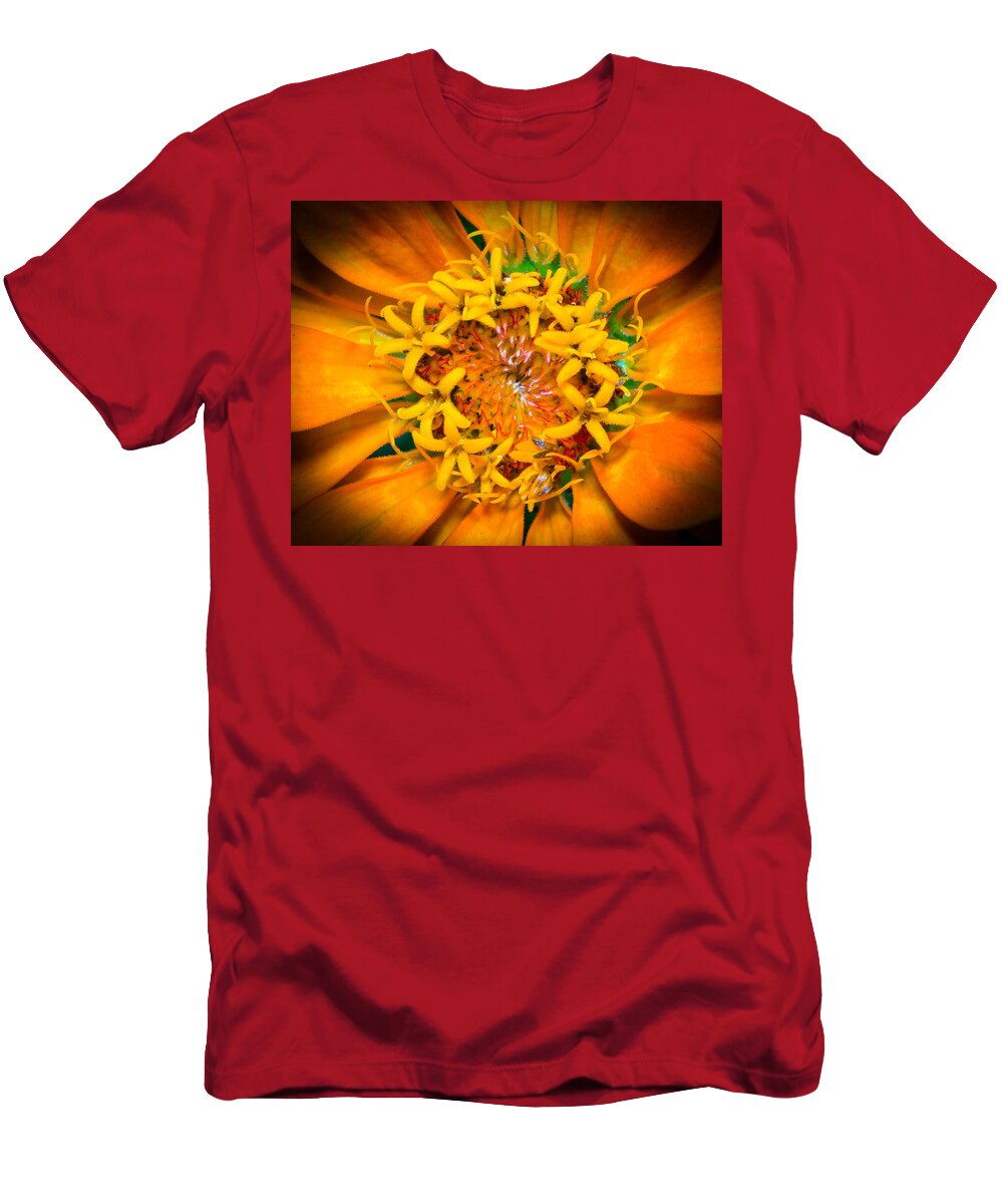 Close-up Of A Zinnia Flower T-Shirt featuring the photograph What a bee sees by Kenneth Cole