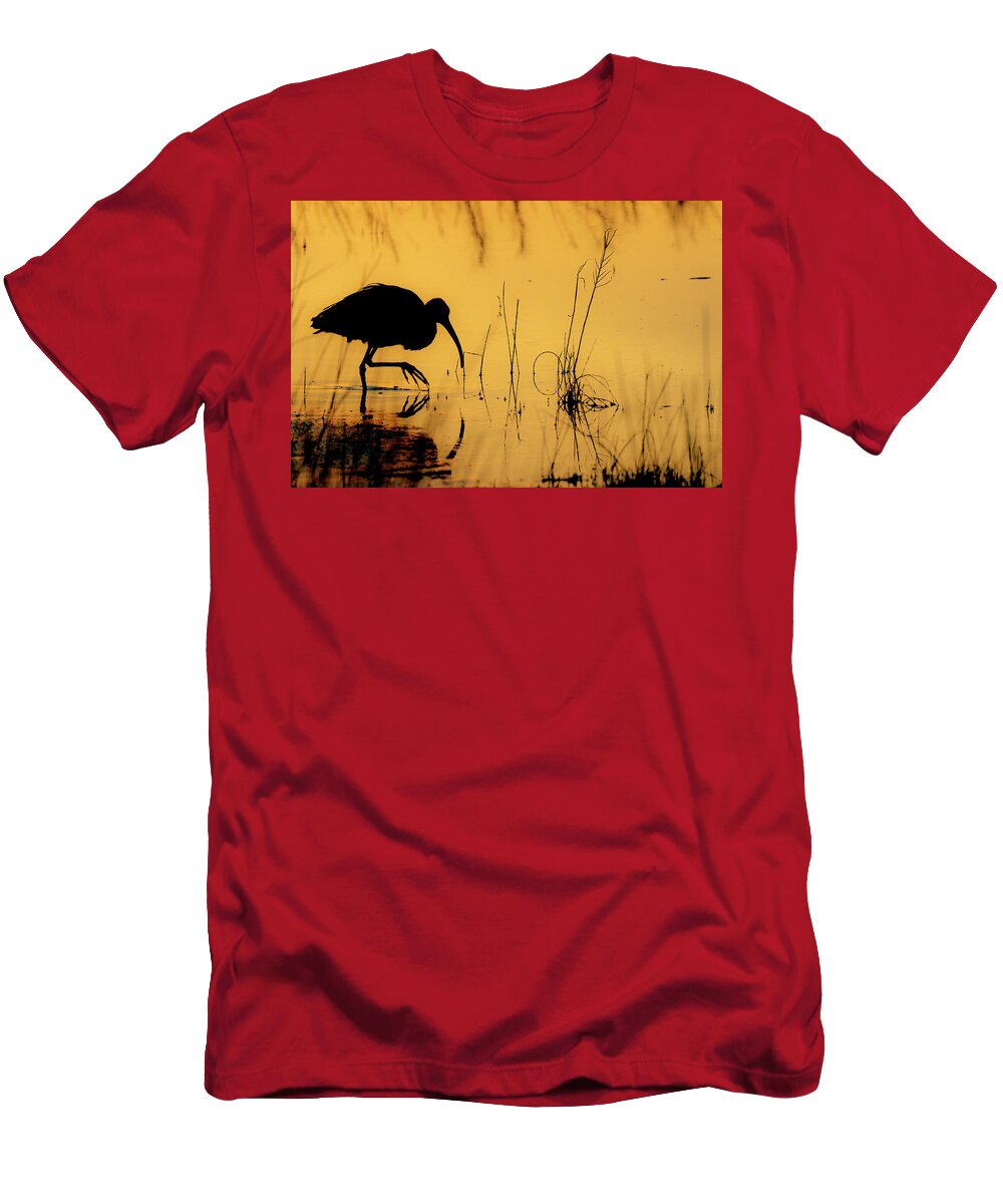 White Ibis T-Shirt featuring the photograph White Ibis at Sunset by Glenn Woodell