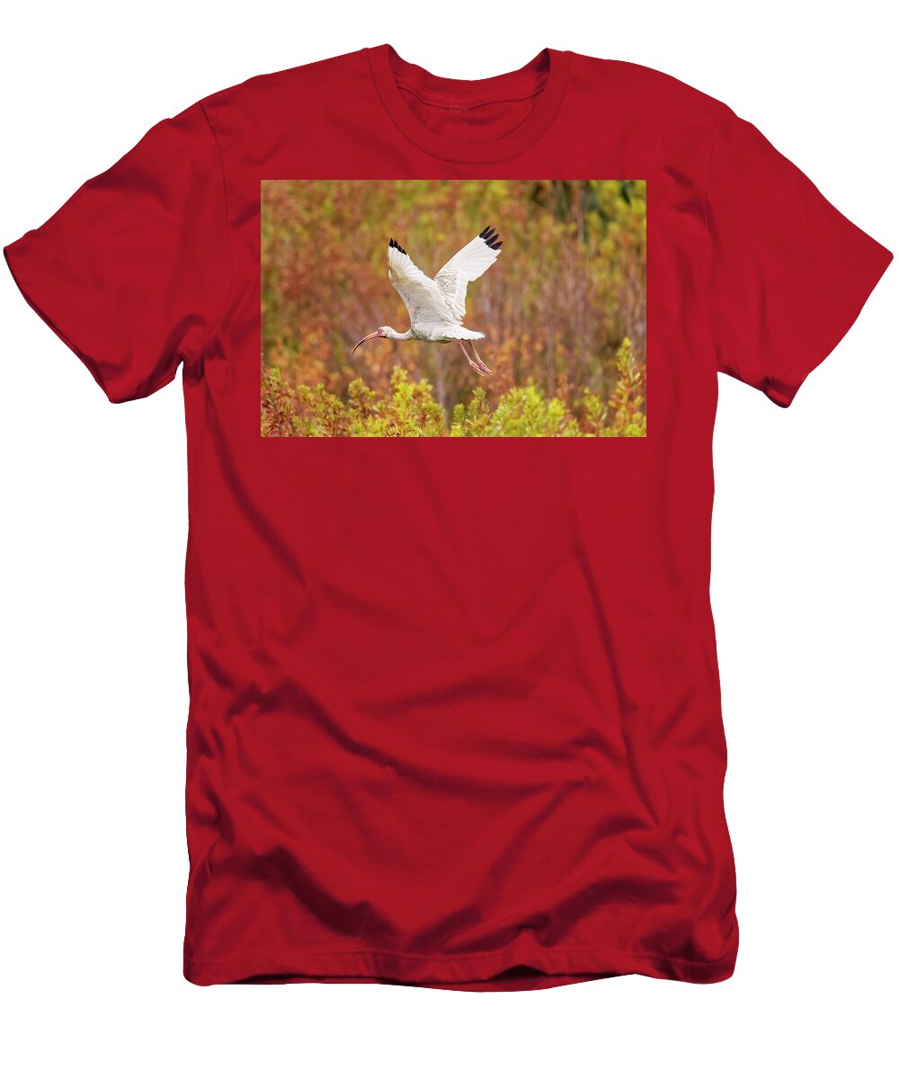 Albus T-Shirt featuring the photograph White Ibis in Hilton Head Island by Peter Lakomy