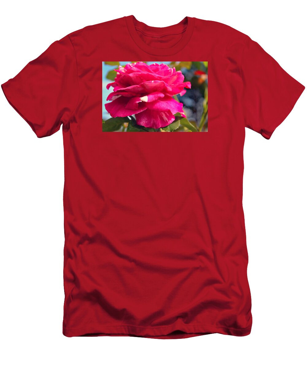 Rose T-Shirt featuring the photograph Wine-Cream Rose Beauty Side View by DB Hayes