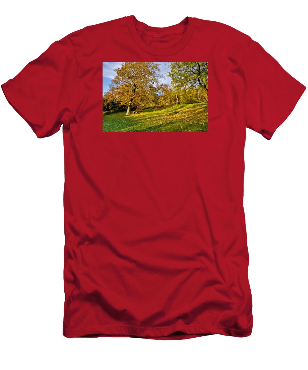 Scotland T-Shirt featuring the photograph Yellow autumn. by Elena Perelman