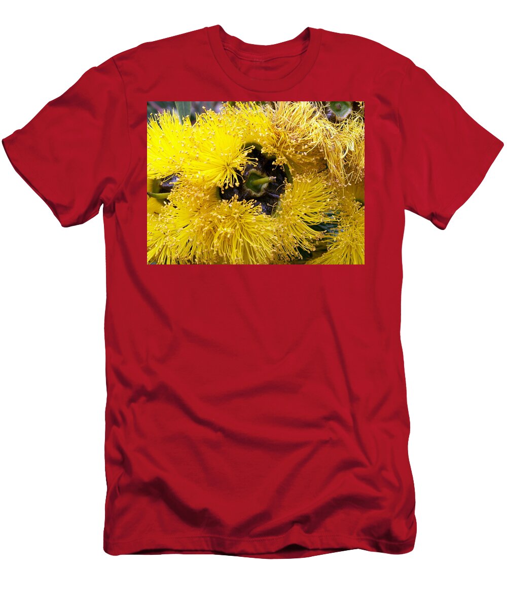 Flower T-Shirt featuring the photograph Yellow Tree Flower by Amy Fose