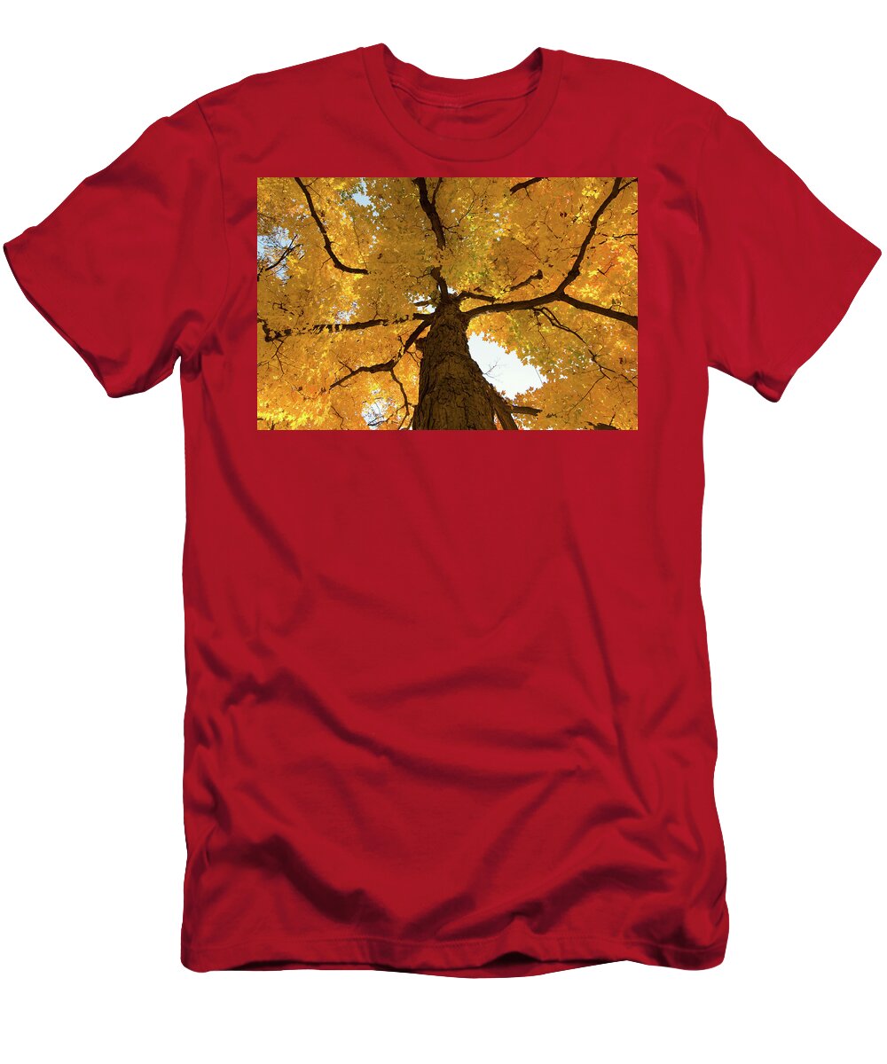 Maple T-Shirt featuring the photograph Yellow Up by Steve Stuller