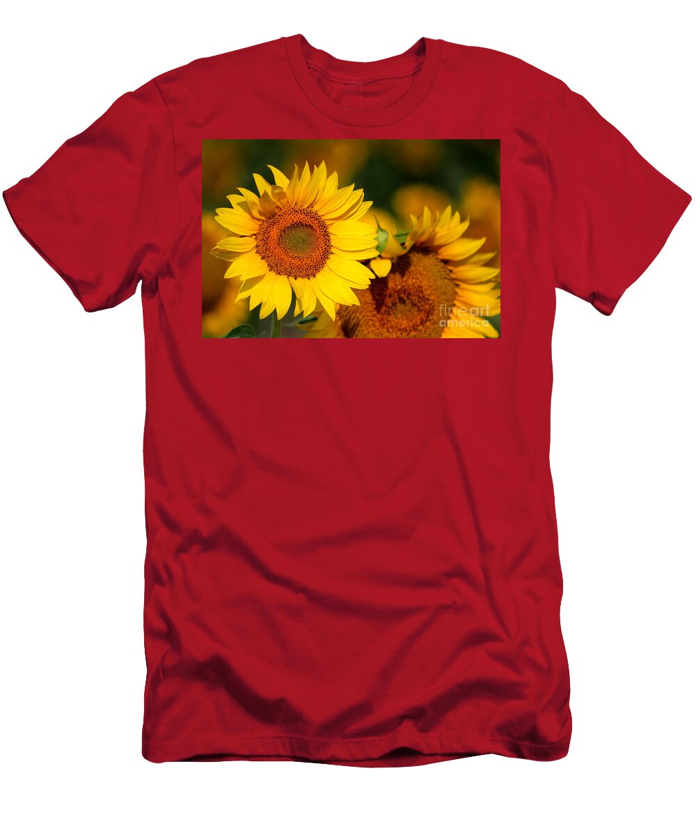 Sunflower T-Shirt featuring the photograph You Are My Sunflower by Fiona Kennard
