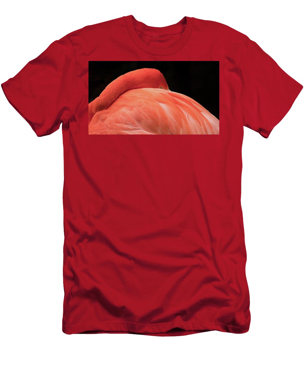Flamingo T-Shirt featuring the photograph You Can Learn A Lot By Watching by Holly Ross