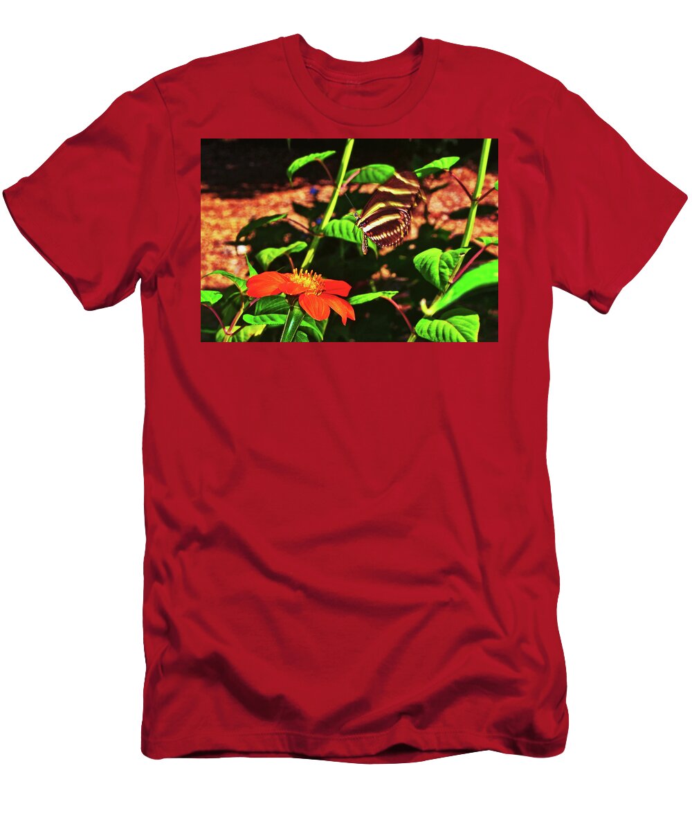 In Flight T-Shirt featuring the photograph Zebra Longwing Butterfly 007 by George Bostian