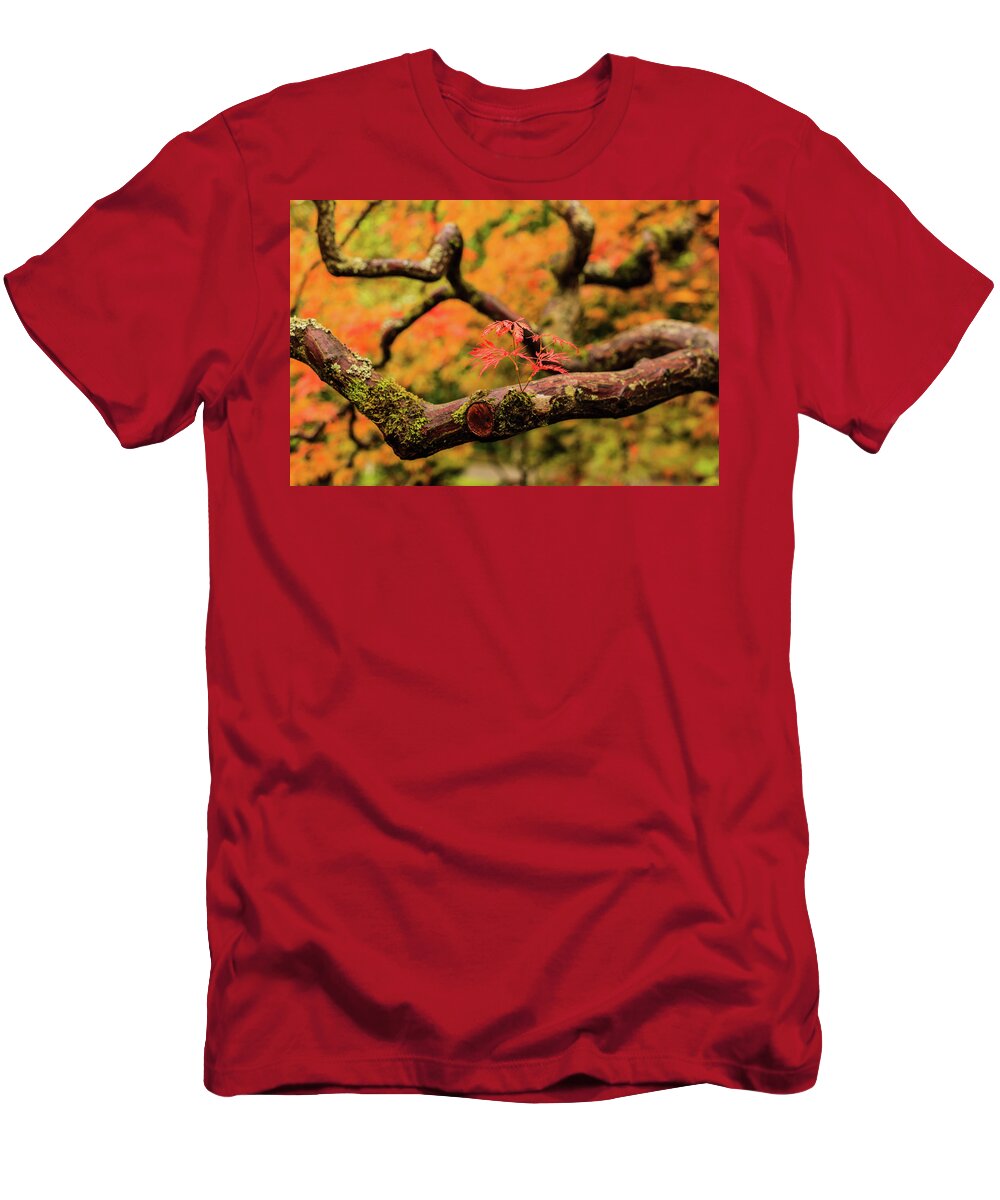 Japanese Garden T-Shirt featuring the photograph Rebirth by Briand Sanderson