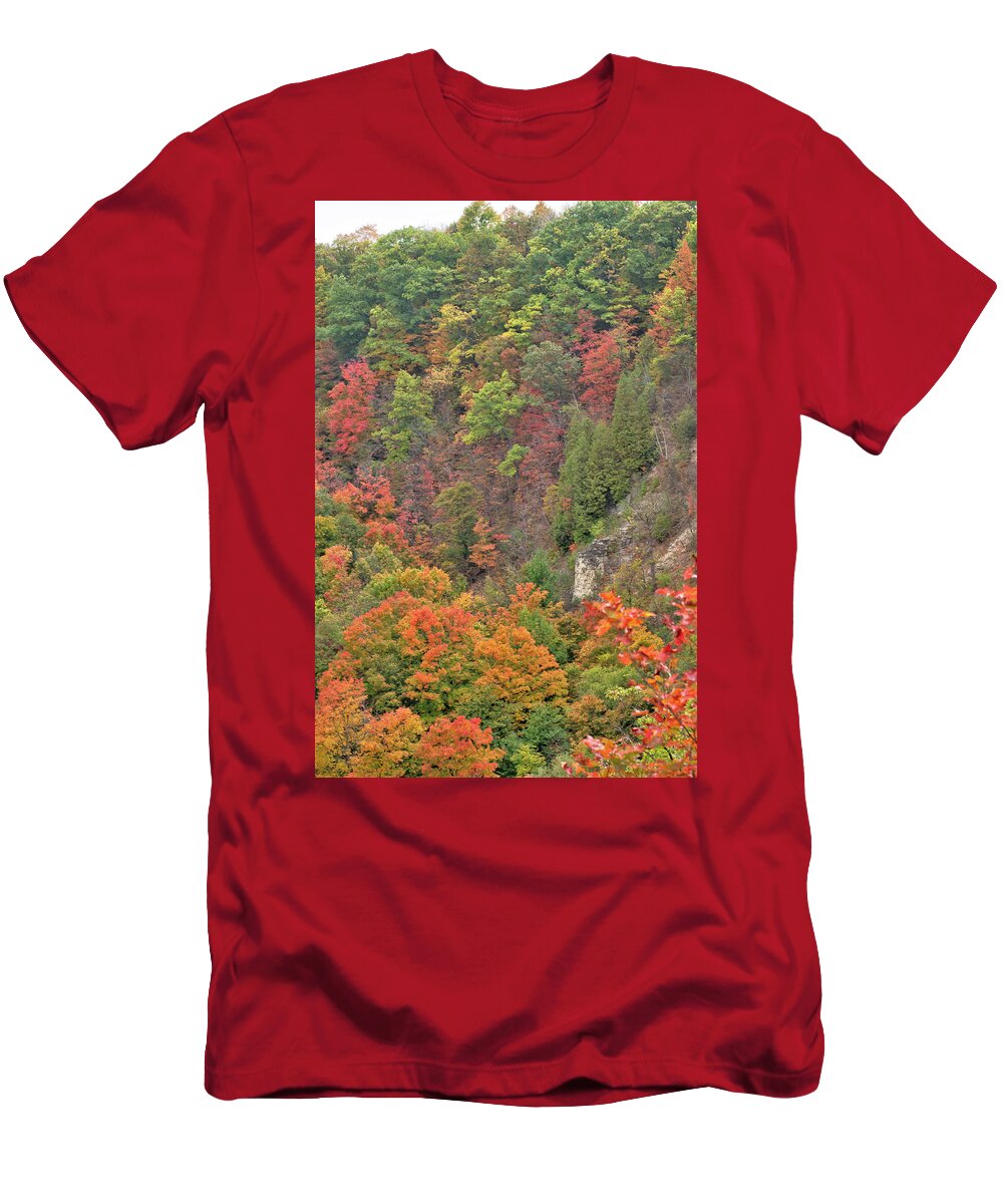 Canada T-Shirt featuring the photograph Autumn Foliage by Nick Mares
