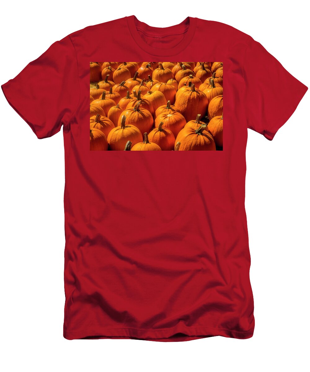 Pumpkins T-Shirt featuring the photograph Autumn Pumpkin Field by Garry Gay