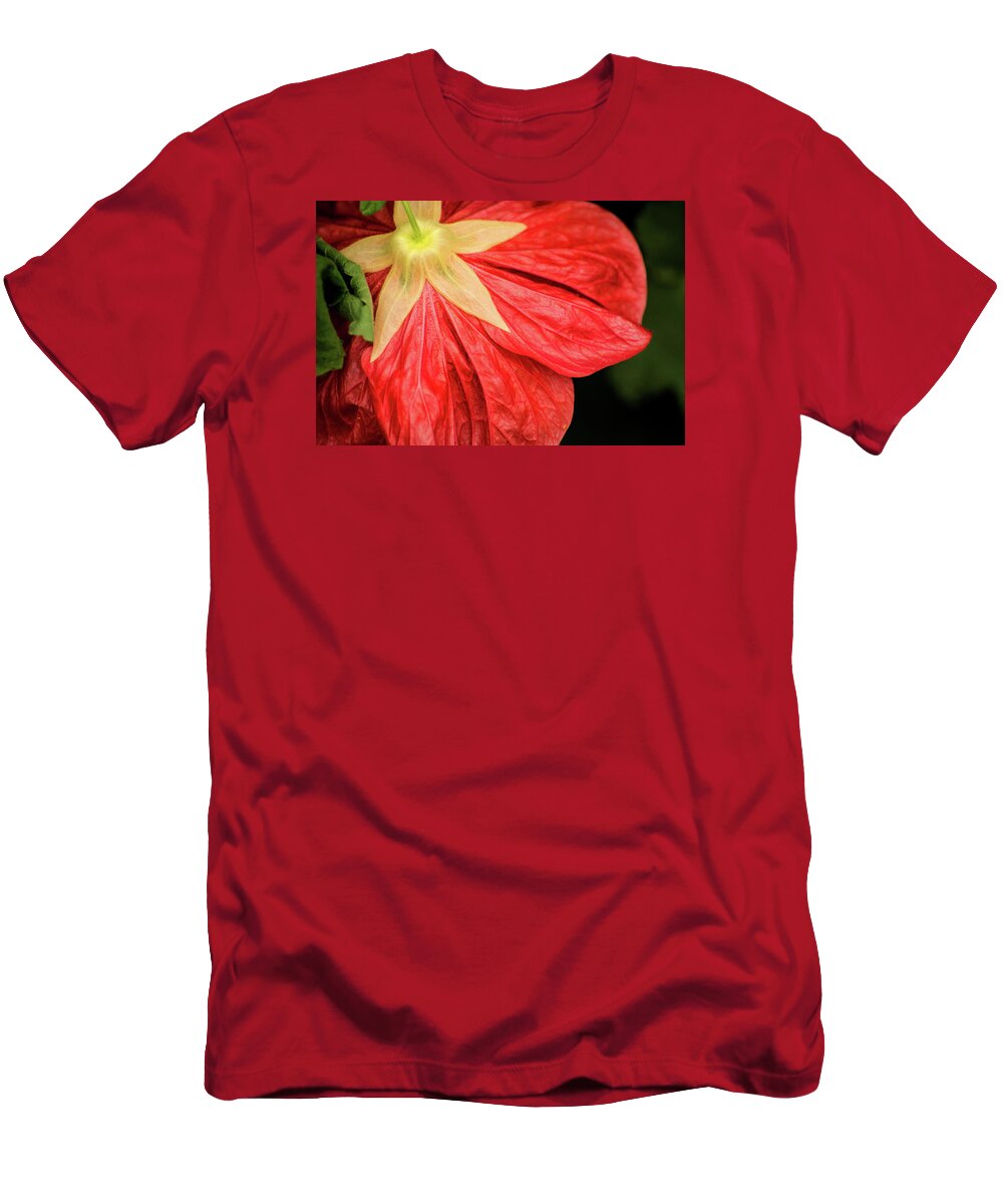 Flower T-Shirt featuring the photograph Back of Red Flower by Don Johnson