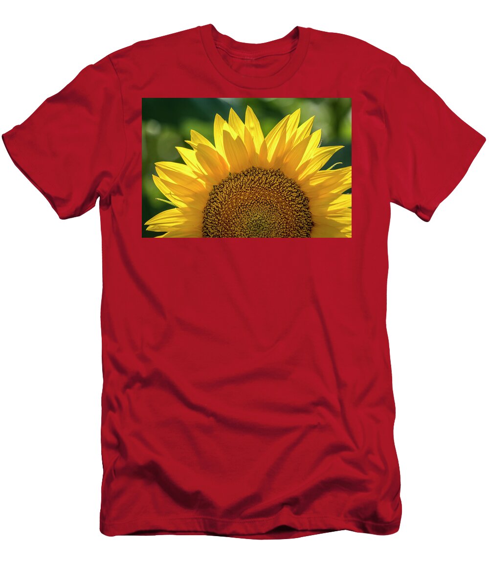 Colorado T-Shirt featuring the photograph Backlit Sunflower Bloom by Teri Virbickis