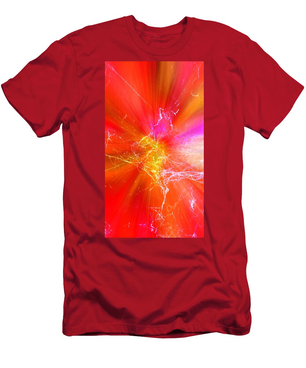 Spider T-Shirt featuring the photograph Charlotte's Sunburst by Judy Kennedy