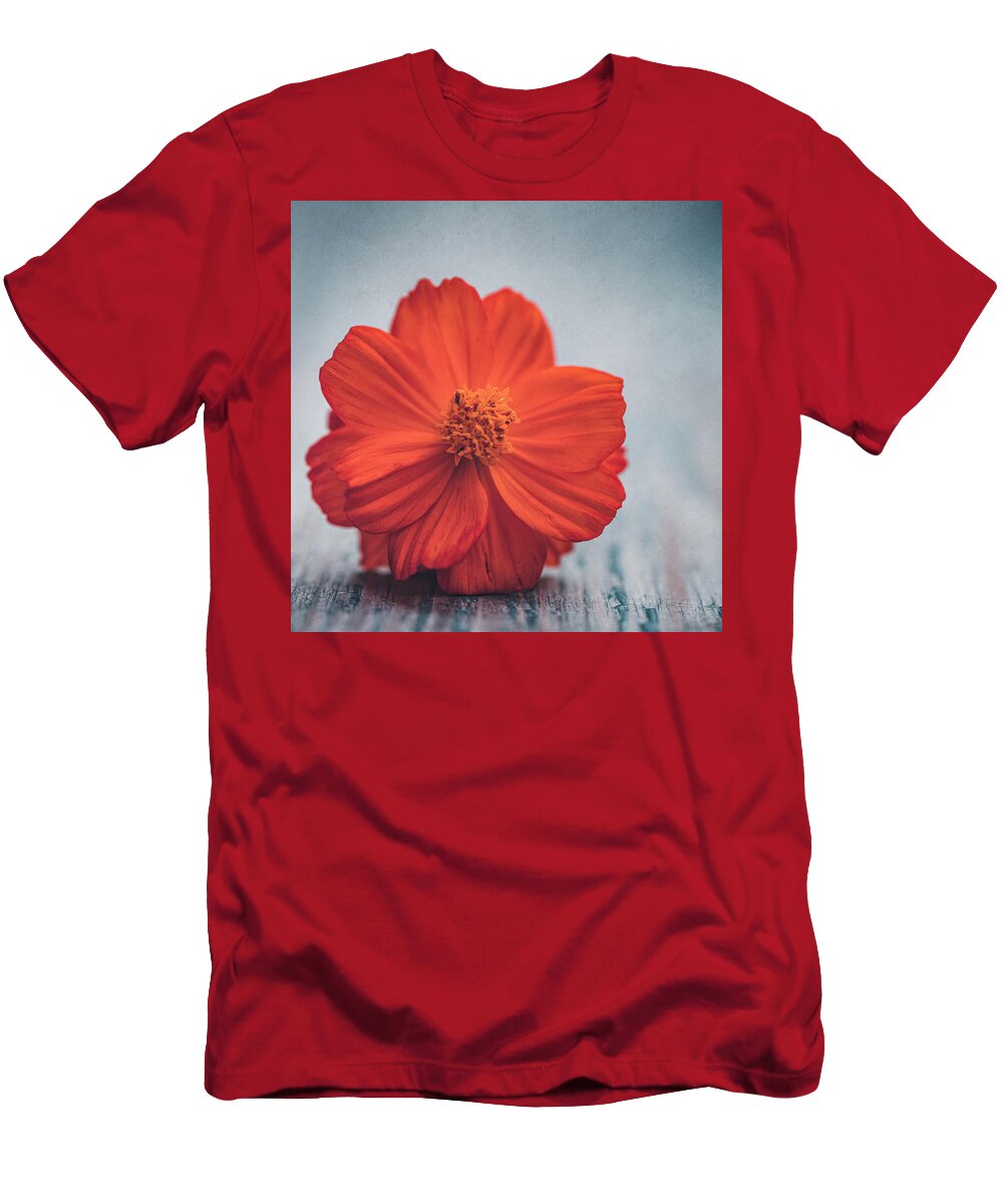 Flower T-Shirt featuring the photograph Cosmos orange by Philippe Sainte-Laudy