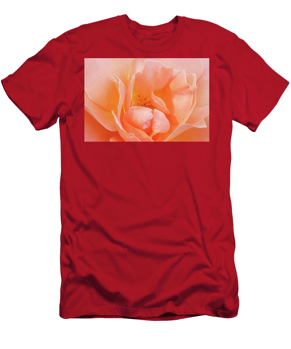 Flowers T-Shirt featuring the photograph Dad's Rose by Minnie Gallman